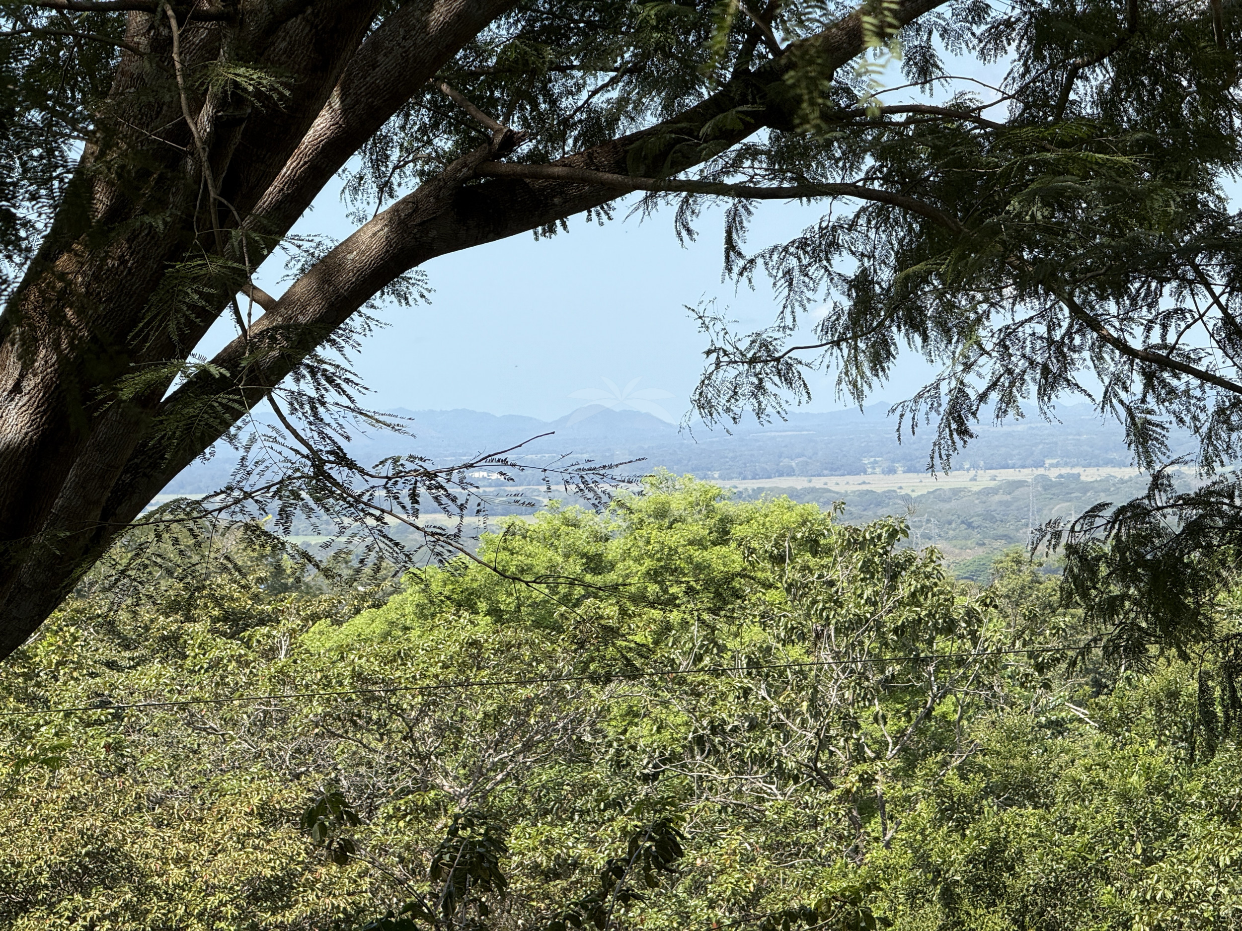 Property for sale with 3 houses and a cabin in Esparza!