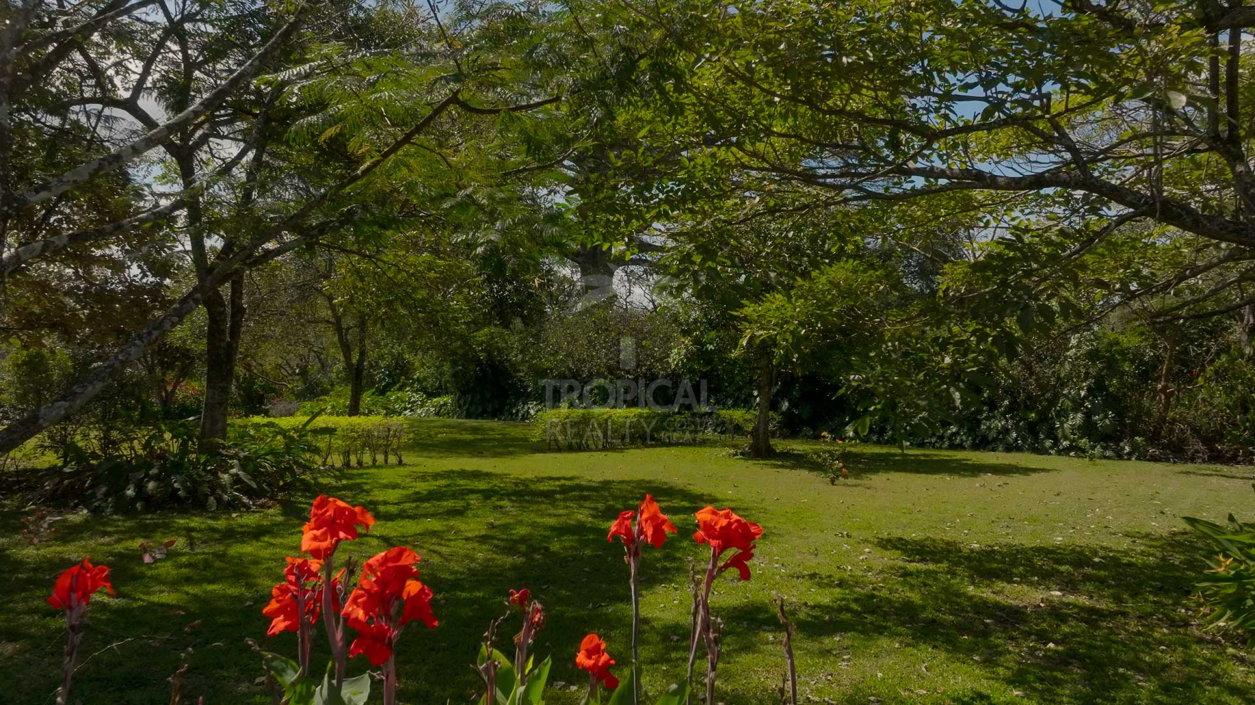 Prime Land for Development – La Guácima