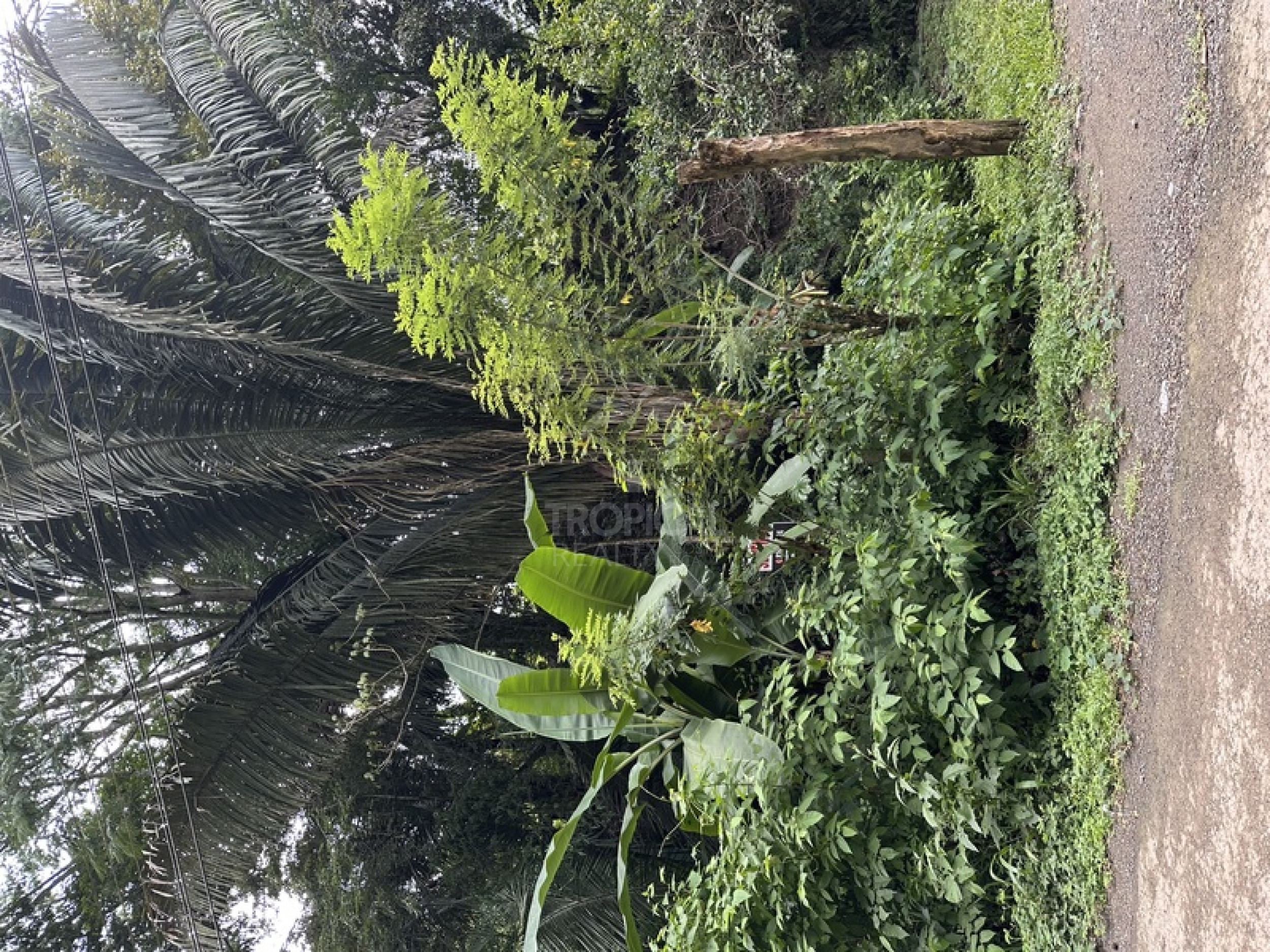 Commercial & Tourism Development Lot for Sale in Manzanillo, Costa Rica – Prime Location Near the Beach