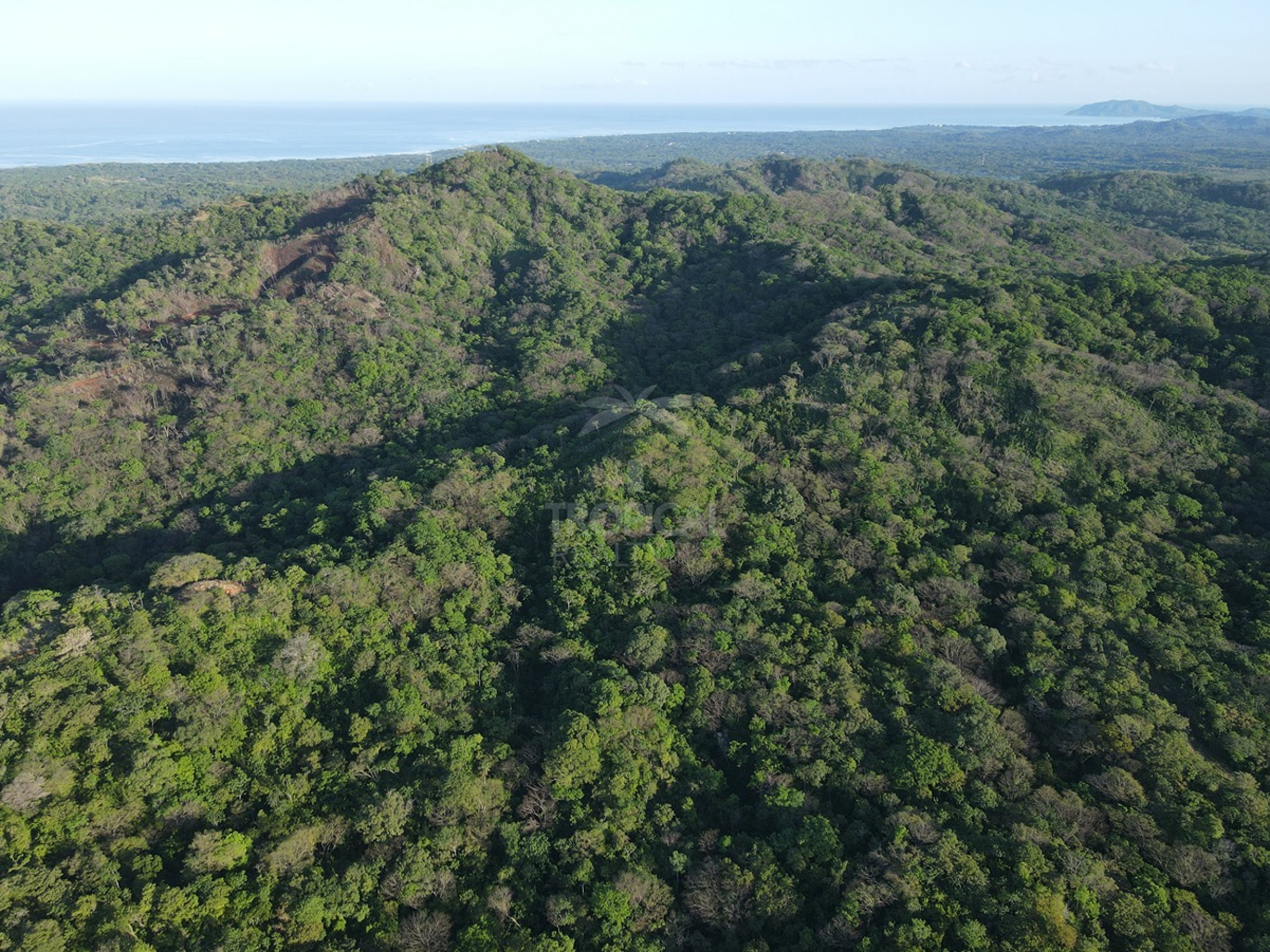 Natural Sanctuary for Sale Near Playa Negra – Two Titled Lots in Guanacaste