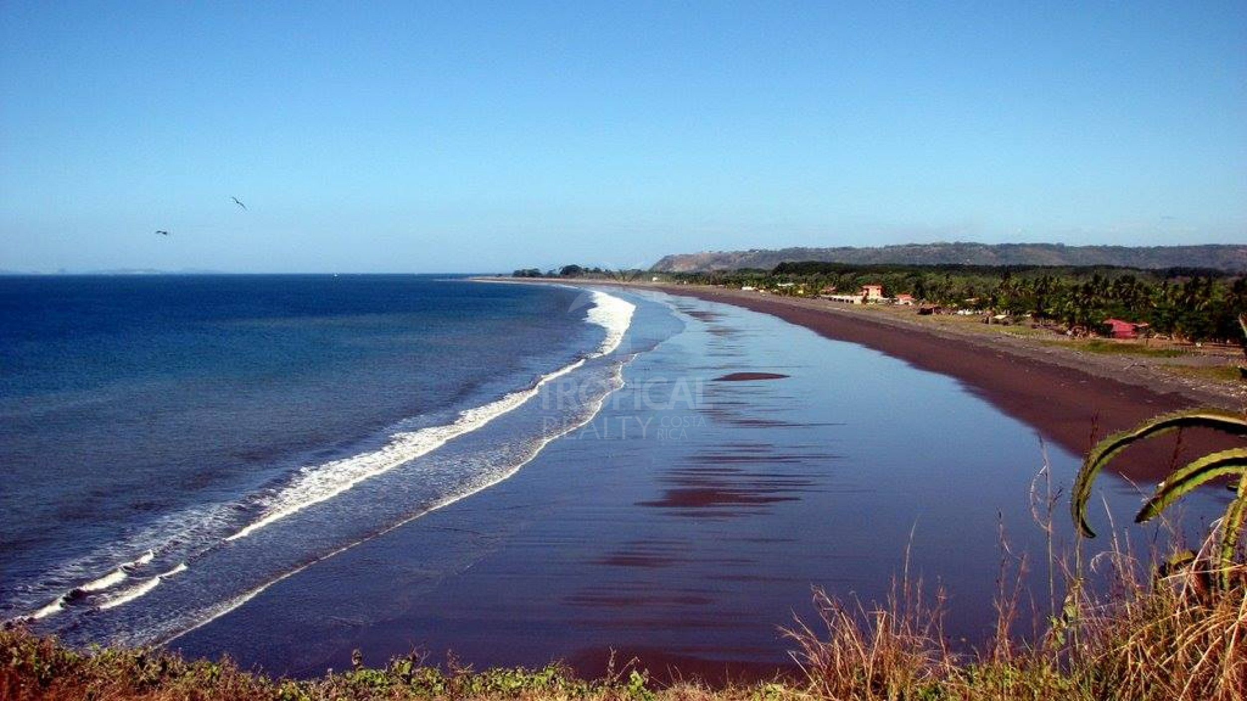 10,000 m² Lot for Sale in Bajamar – Near the Beach with High Development Potential