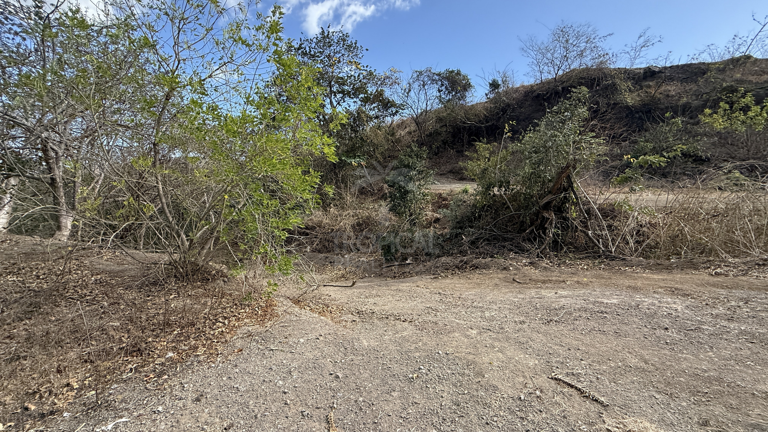 1.4 Hectares in Nuevo Colón, Guanacaste – 92 m Road Frontage