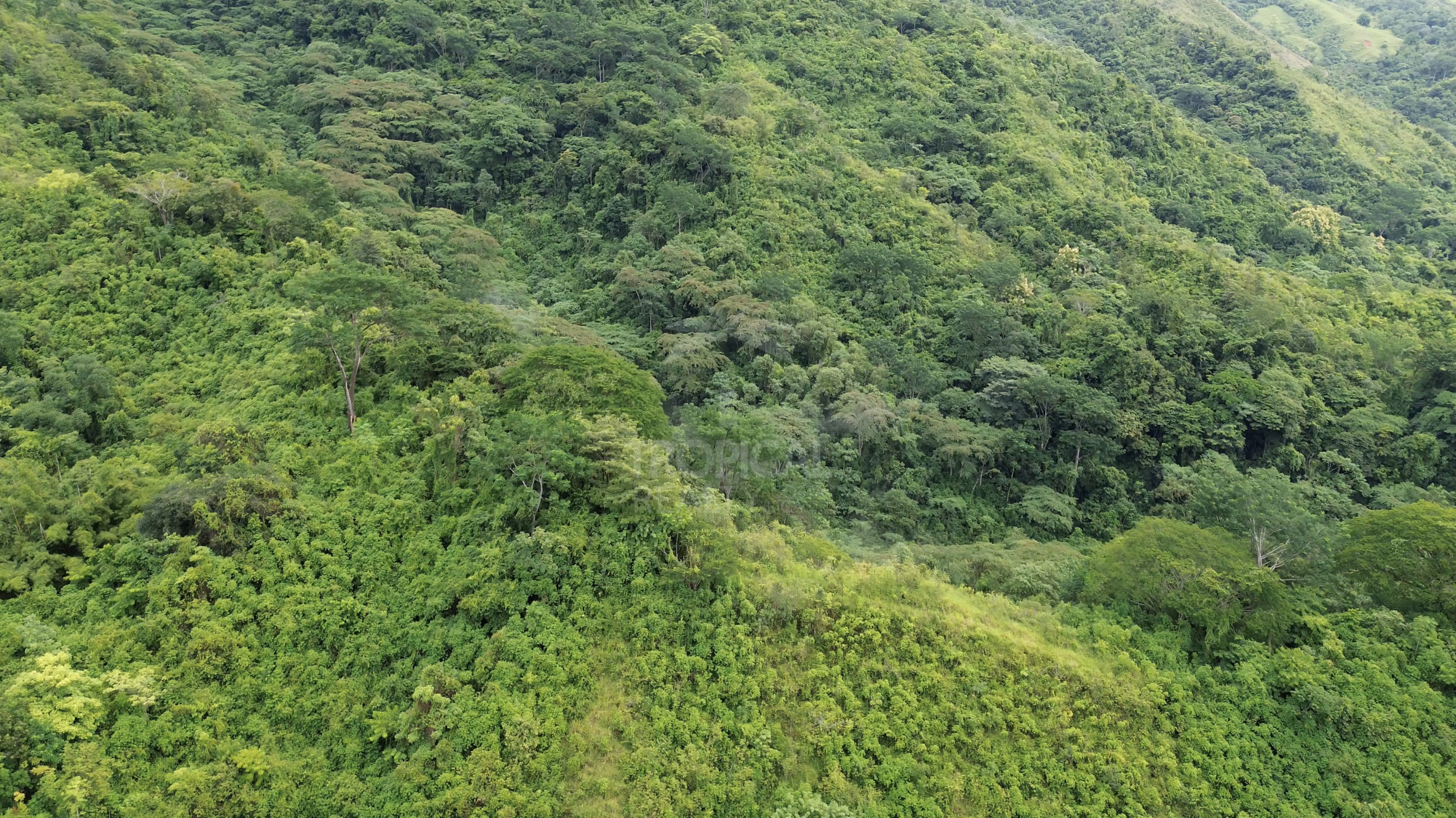 210-Hectare Farm for Sale in Tulín, Puriscal | 519 acres