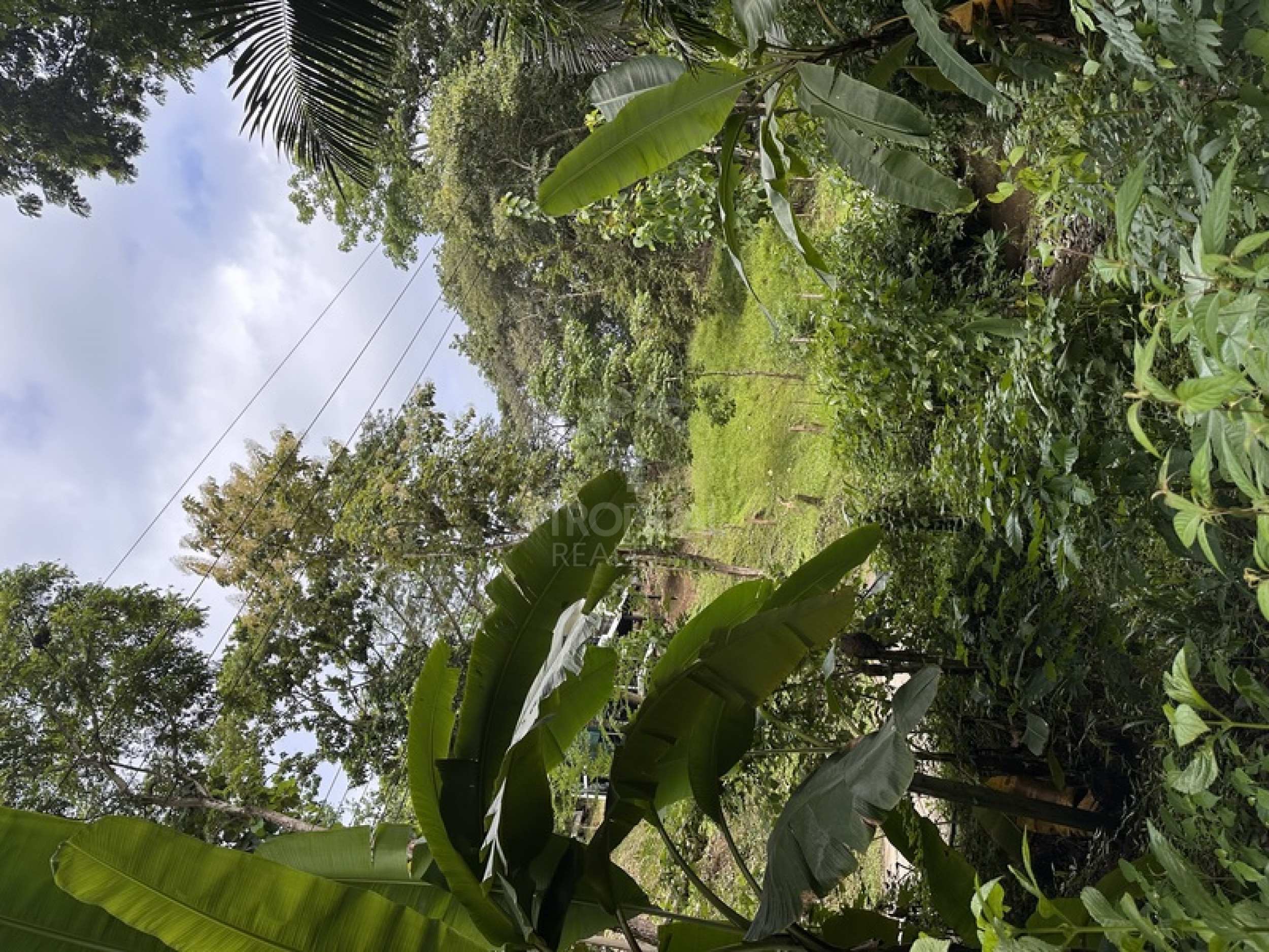 Commercial & Tourism Development Lot for Sale in Manzanillo, Costa Rica – Prime Location Near the Beach