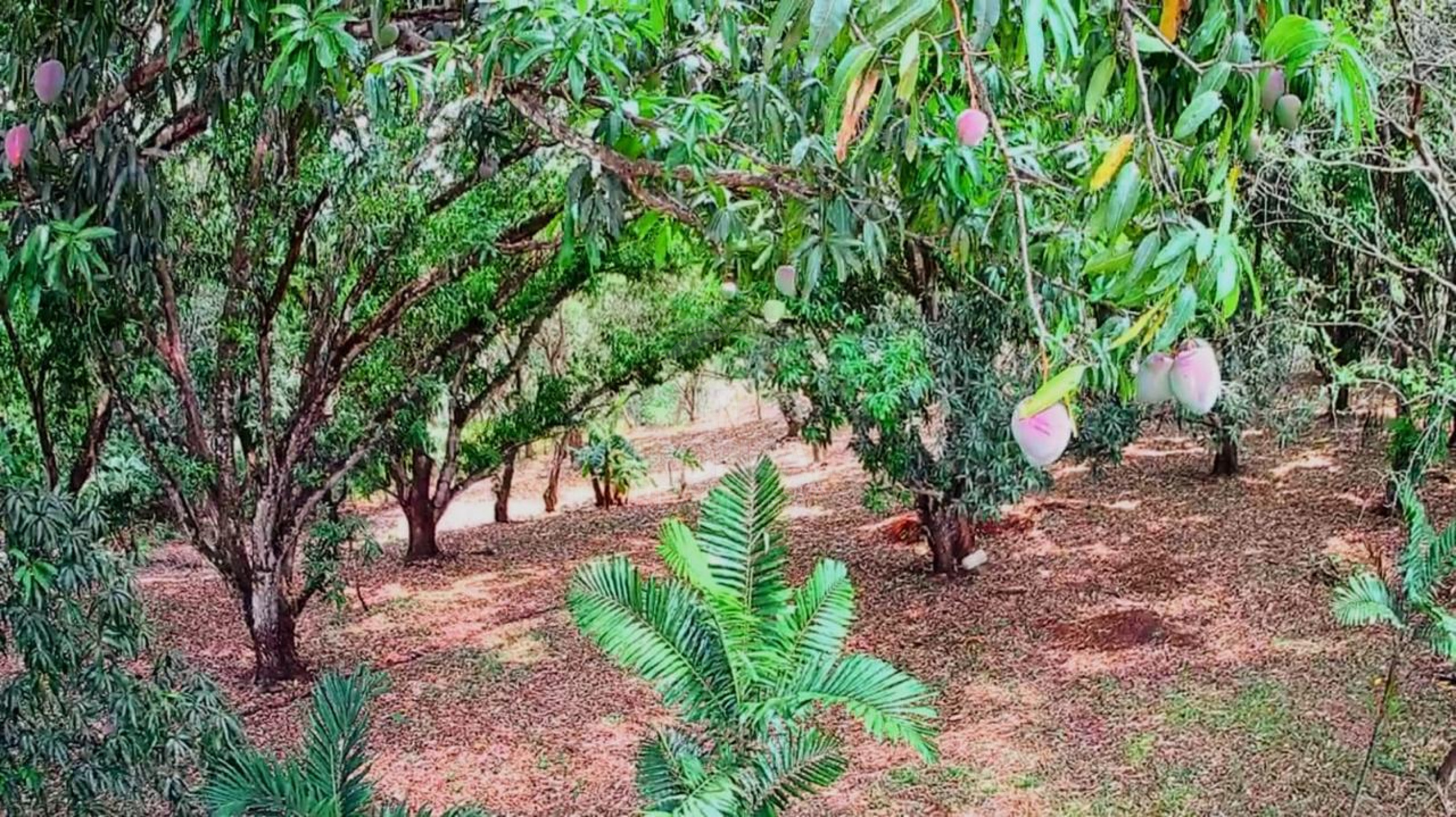 Strategic 1,312 m² Lot for Sale – Orotina, Alajuela | Frontage on Route 27