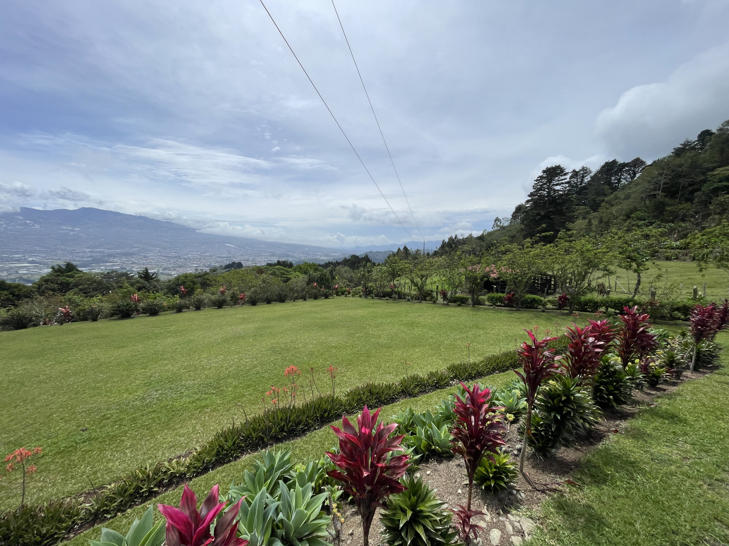 Charming Coffee Retreat Home with Stunning Views and Gourmet Coffee Plantations
