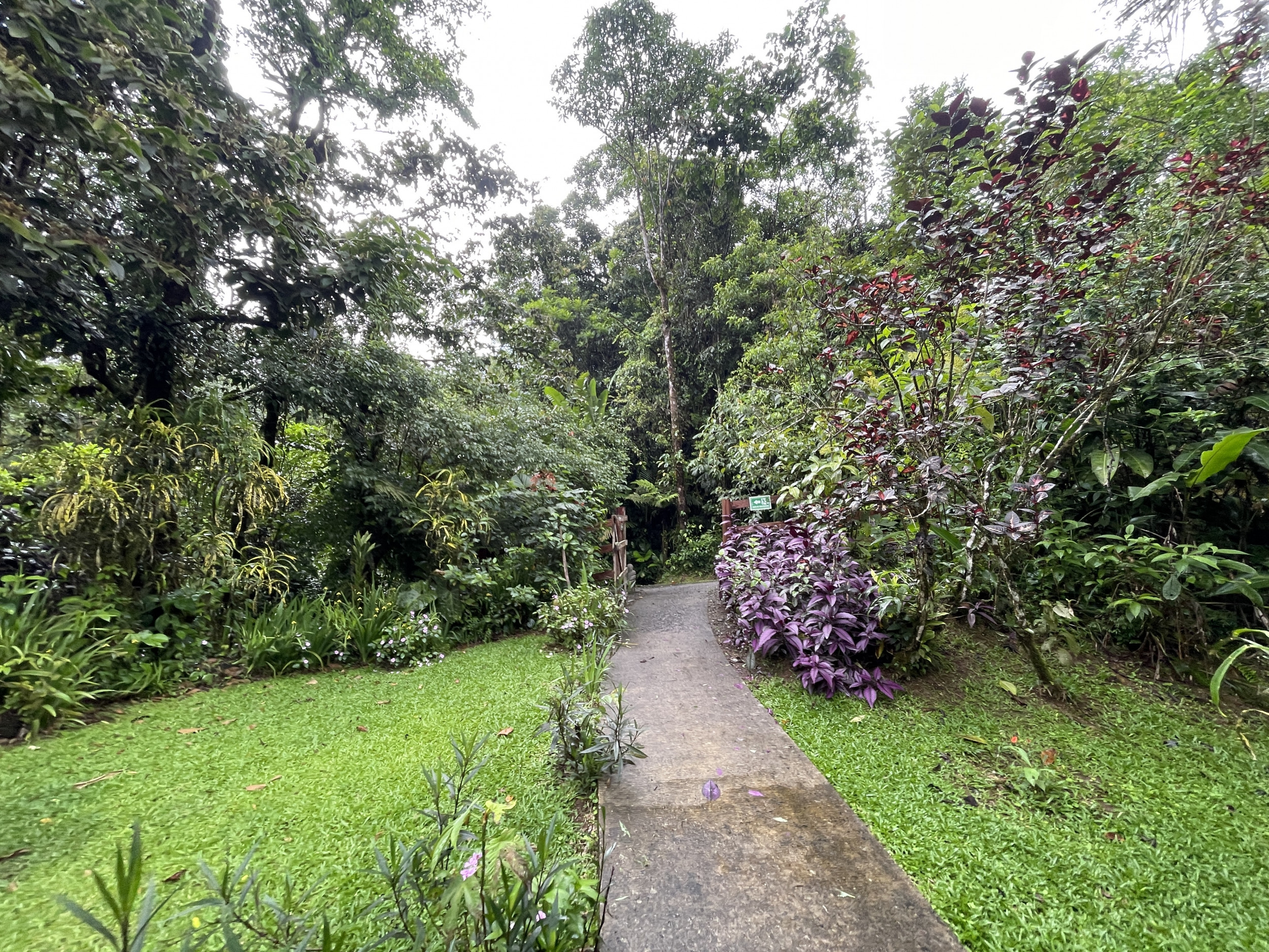 65-Acre Lakeview Property in Nuevo Arenal, Ideal for Family Residential Development