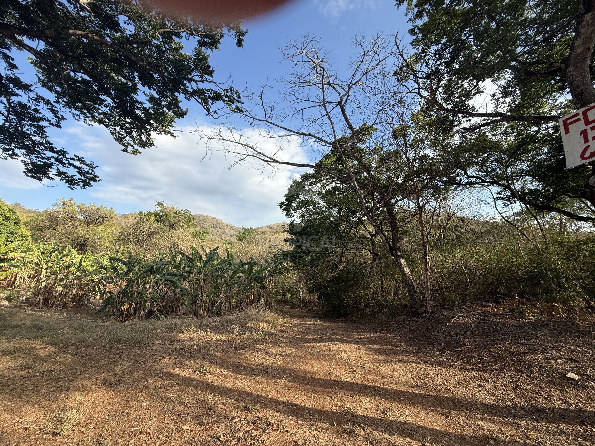 153-Hectare Ranch for Sale in Santa Cruz, Guanacaste – Natural Springs, Forest & Development Potential | $1,000,000