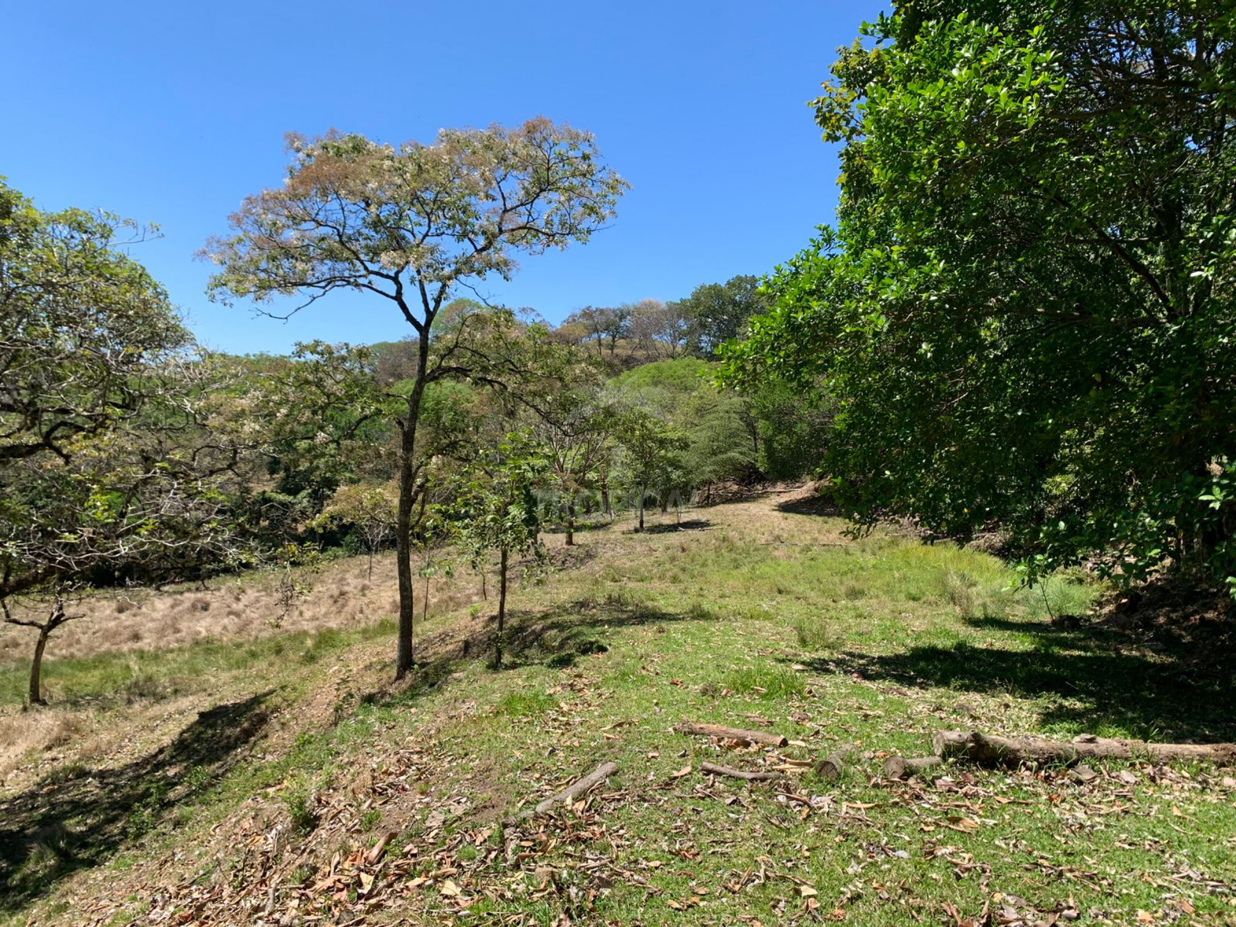 Farm for Sale in Turrúcares – Riverfront with Pools & Ecotourism Potential