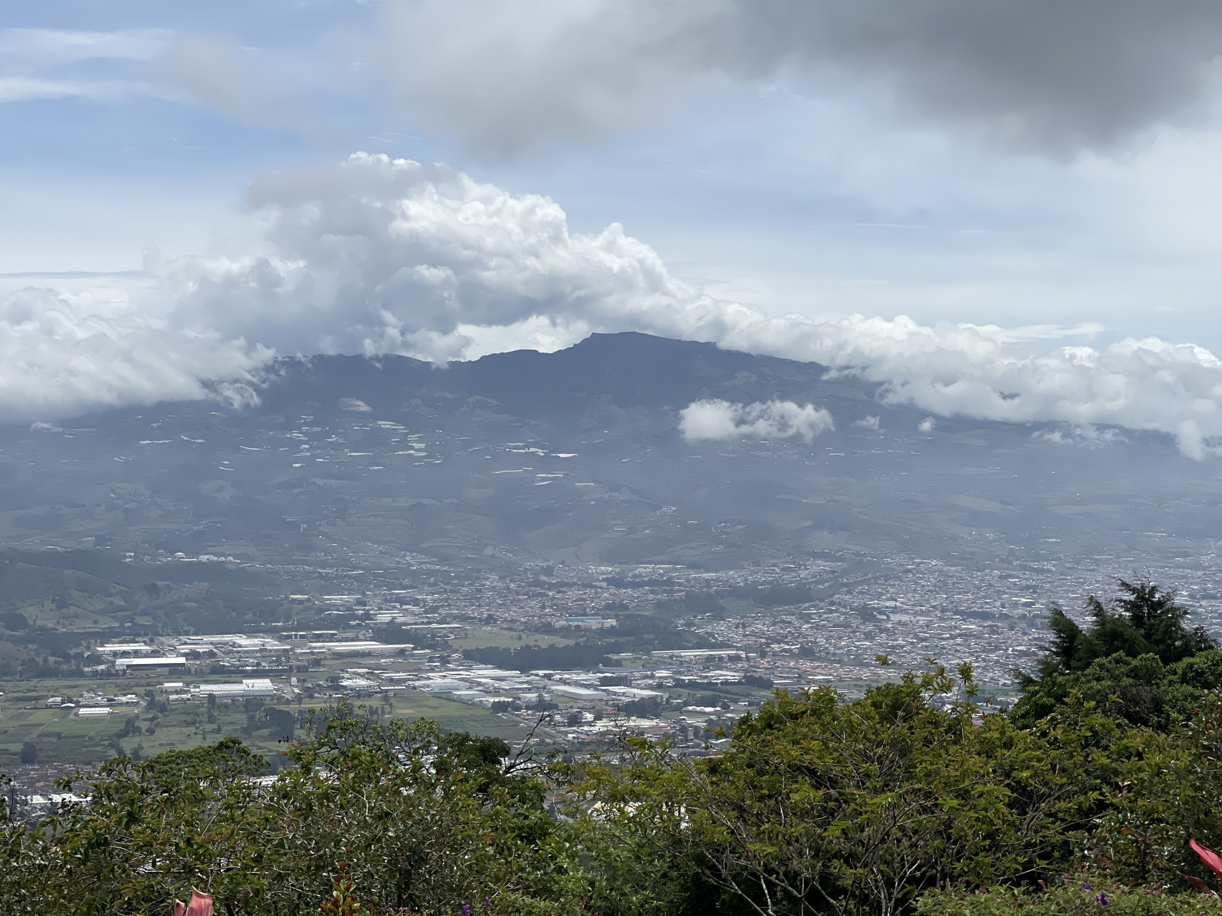 Charming Coffee Retreat Home with Stunning Views and Gourmet Coffee Plantations