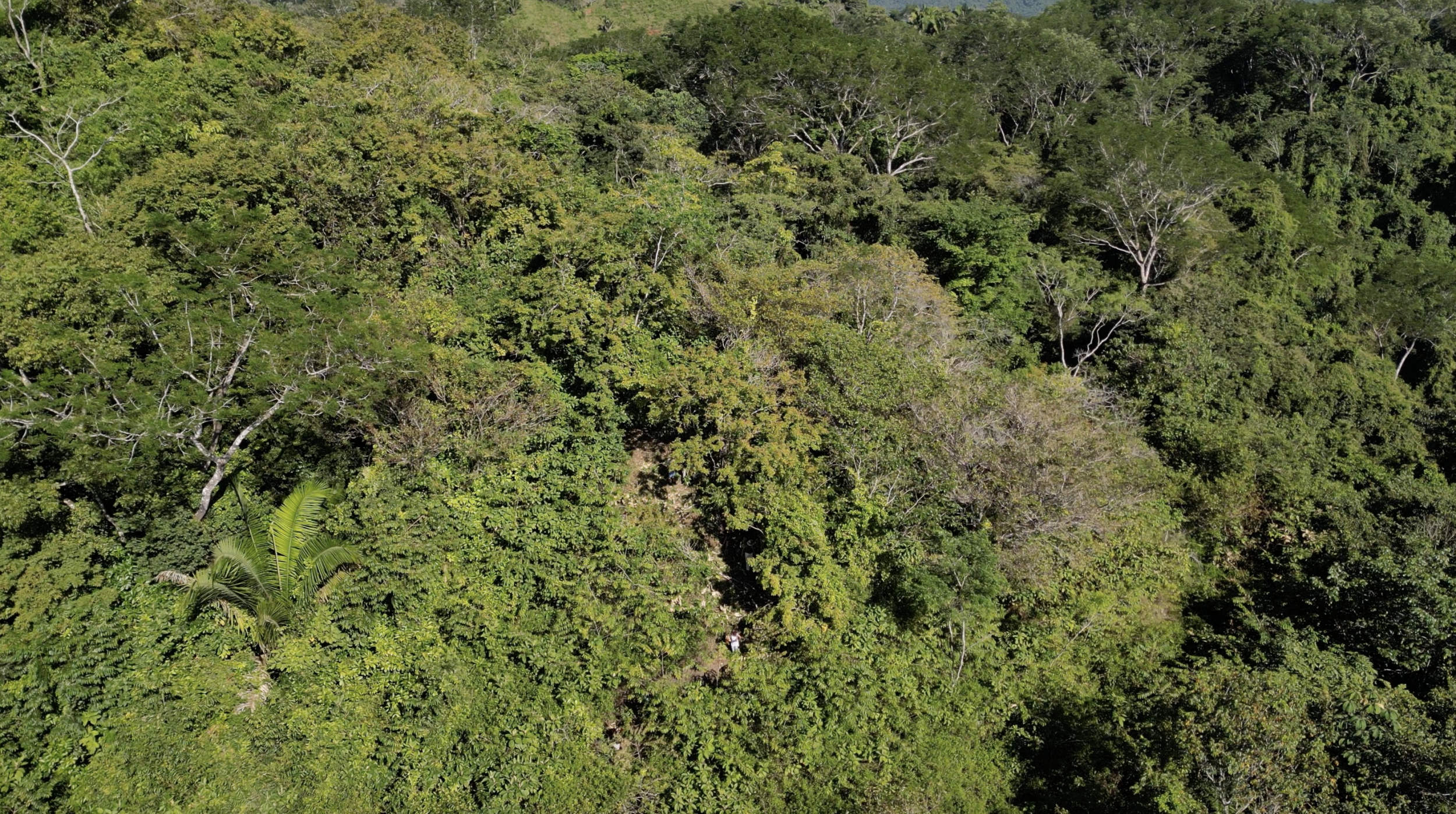 Spectacular Farm for Sale in Cobano, Puntarenas: Ocean Views to Santa Teresa, Lush Nature, and Included Waterfall