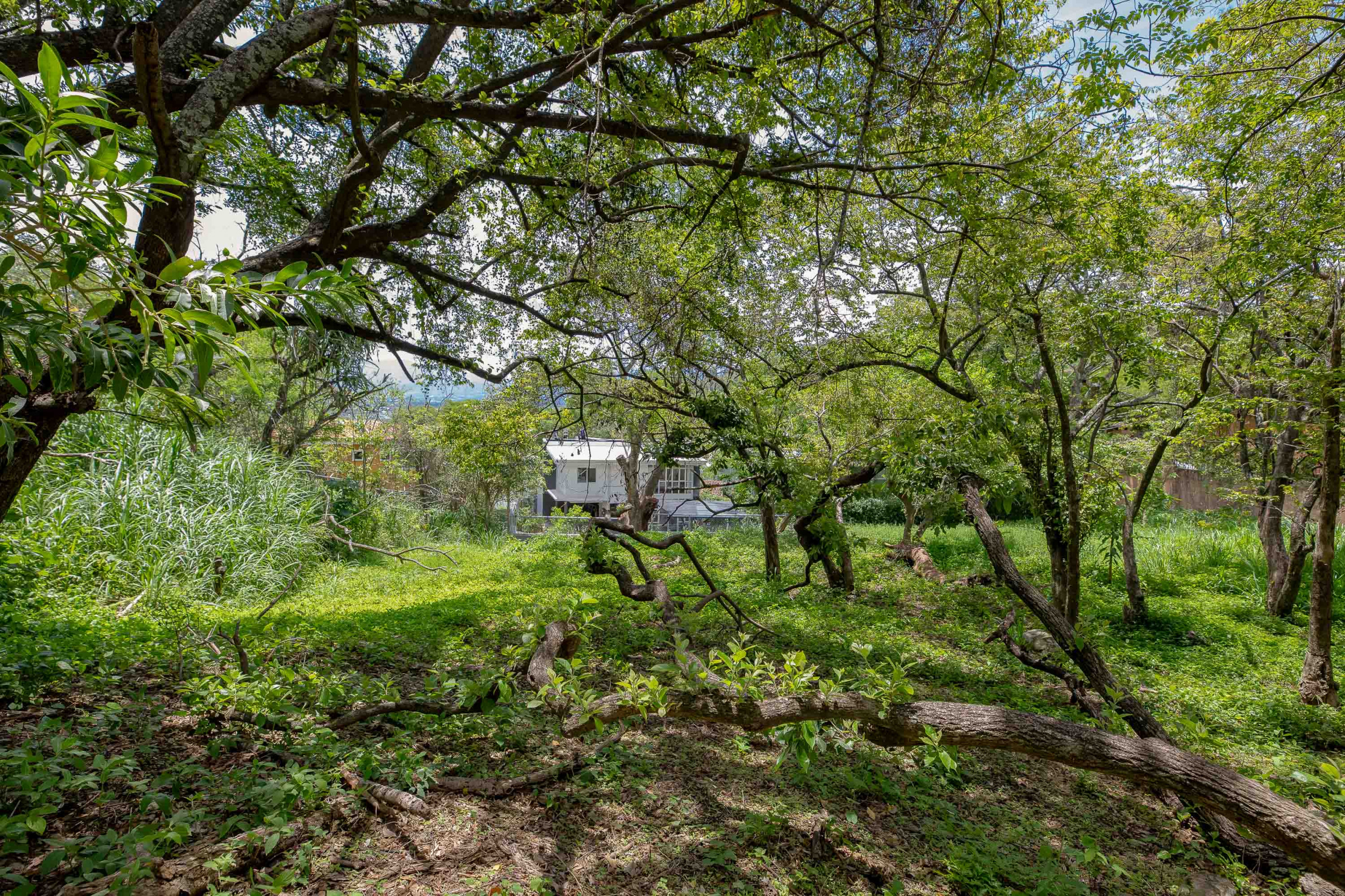 Residential Private Lush Lot in Rio Oro , Santa Ana