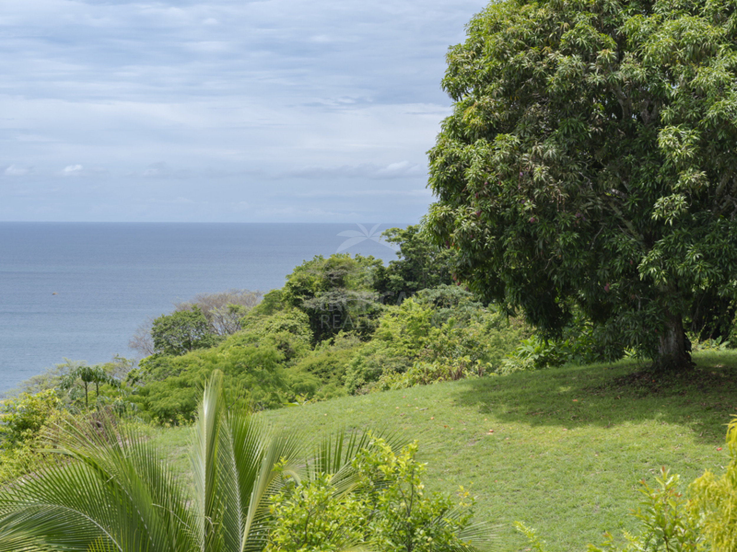 Luxury Ocean View Estate with Private Access to Montezuma Waterfalls