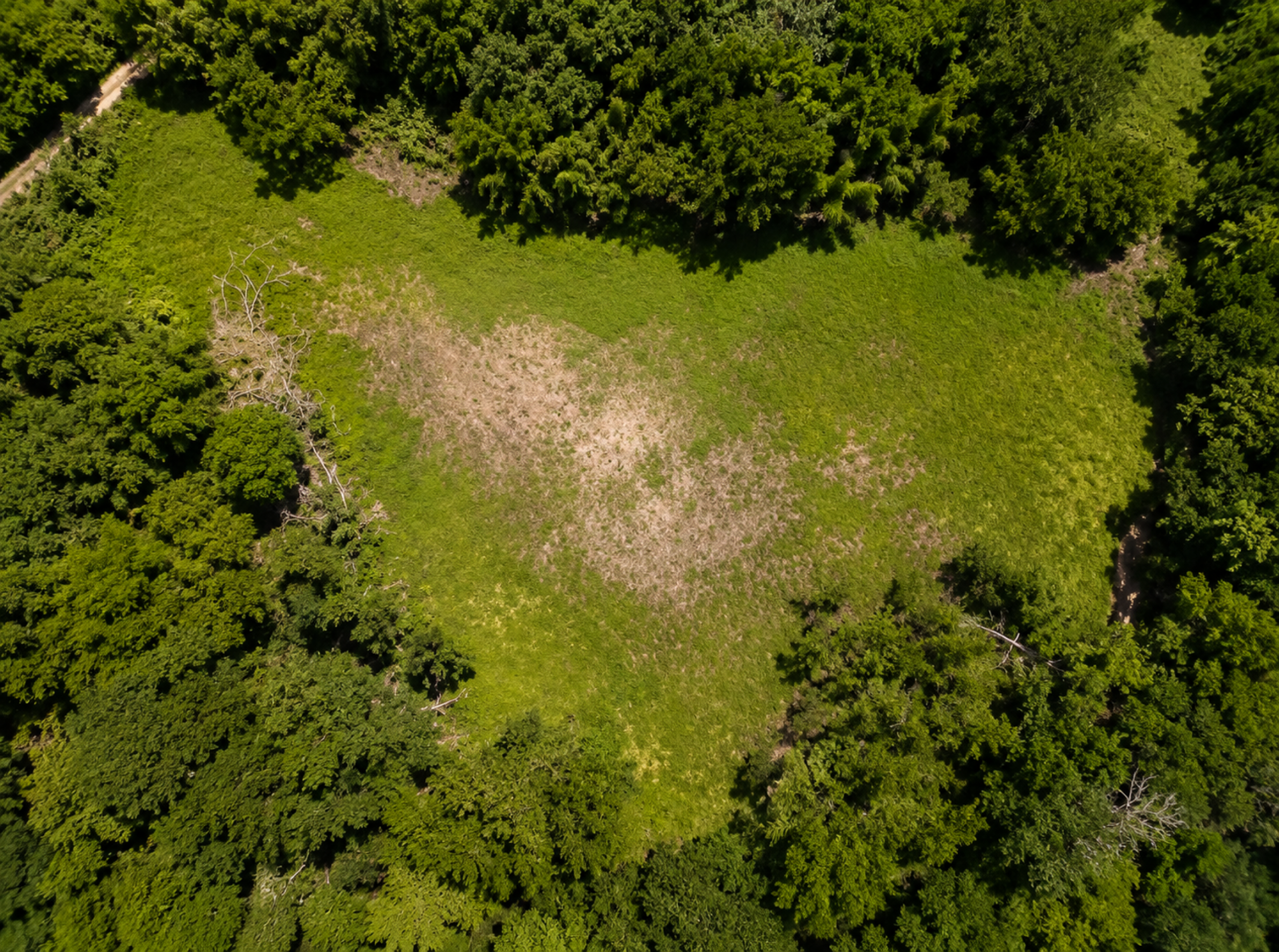 Exclusive Land for Sale in Las Delicias, Cóbano | 15,046 m² Surrounded by Nature and Protected Forest