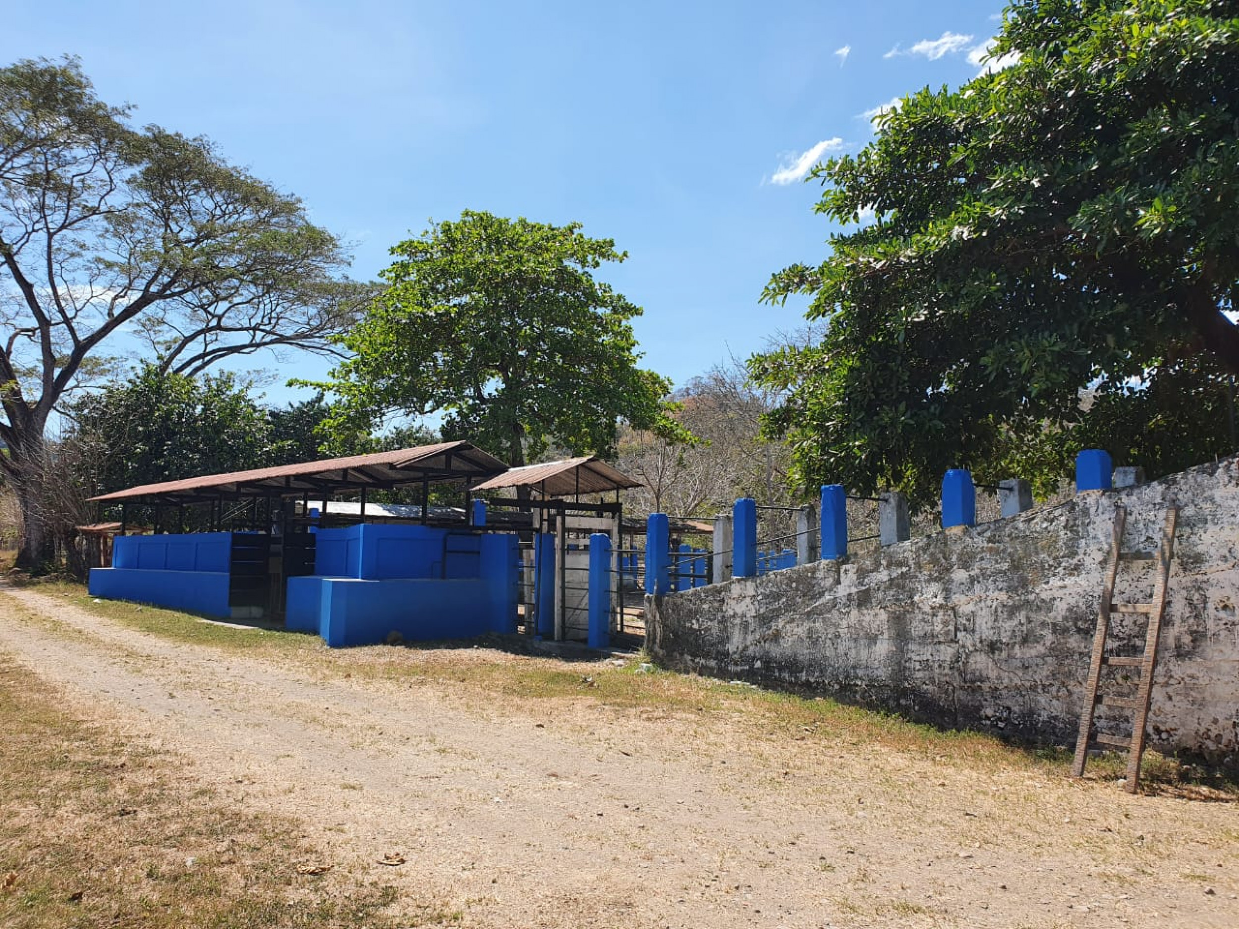 864 Acres in the Gulf of Nicoya Blue Zone – A Sanctuary of Nature and Tranquility