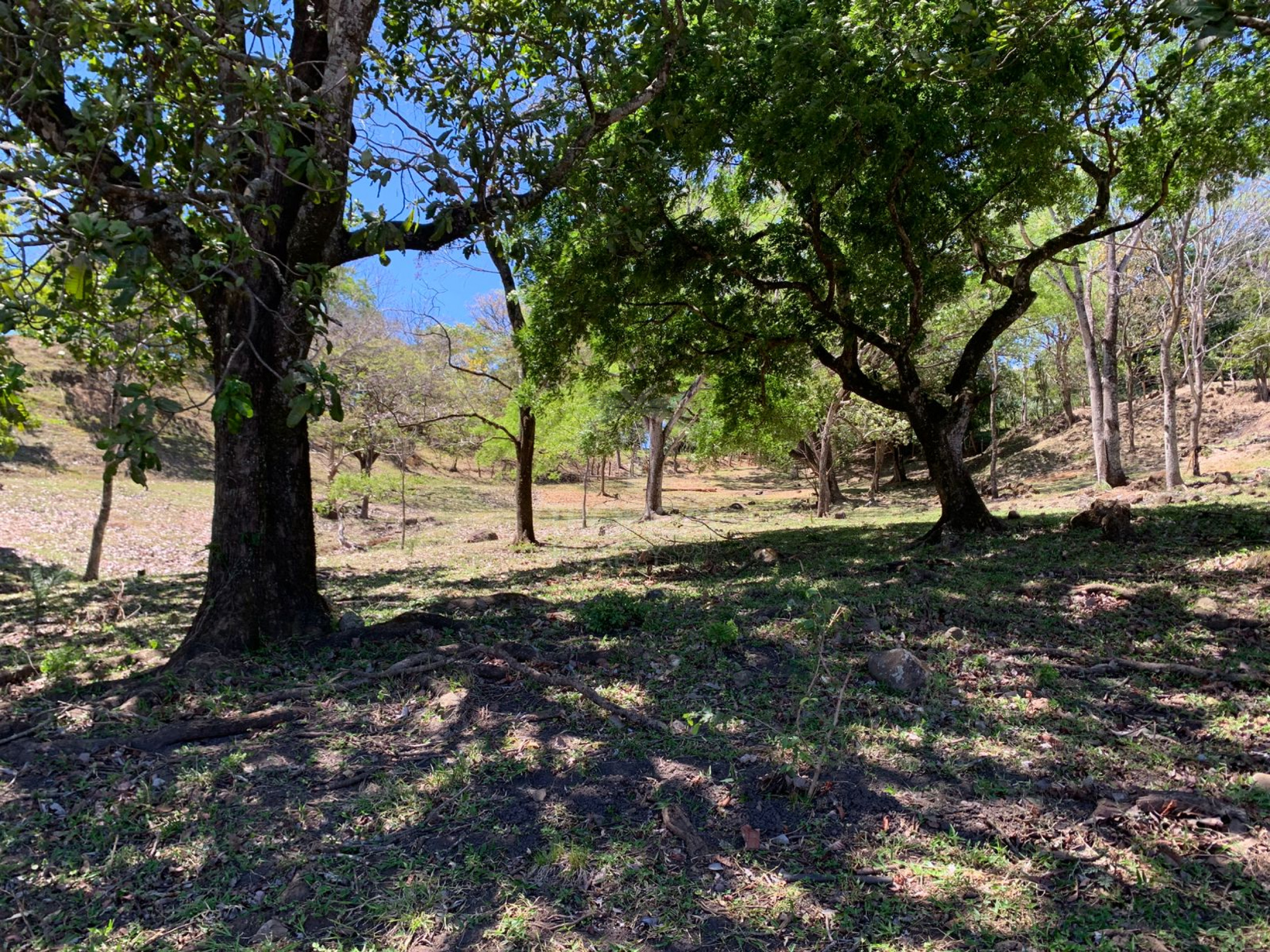 Farm for Sale in Turrúcares – Riverfront with Pools & Ecotourism Potential
