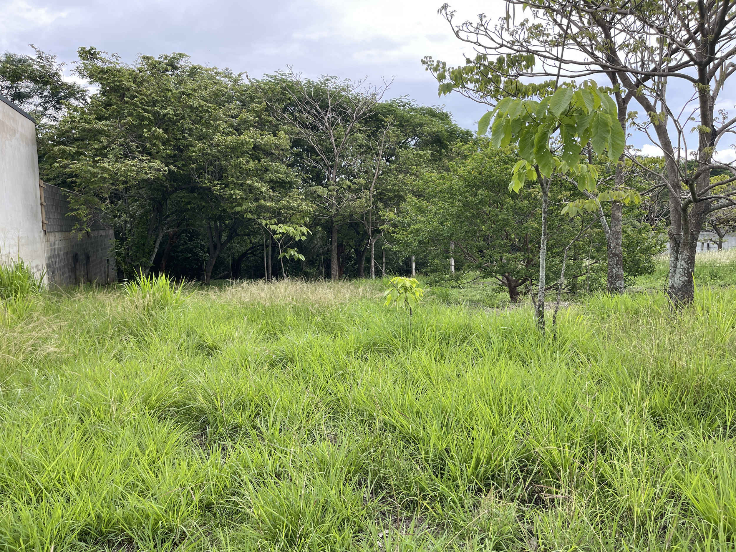 Prime Land for Sale in Santa Ana: Build Your Dream Residence in a High-Value Residential Area