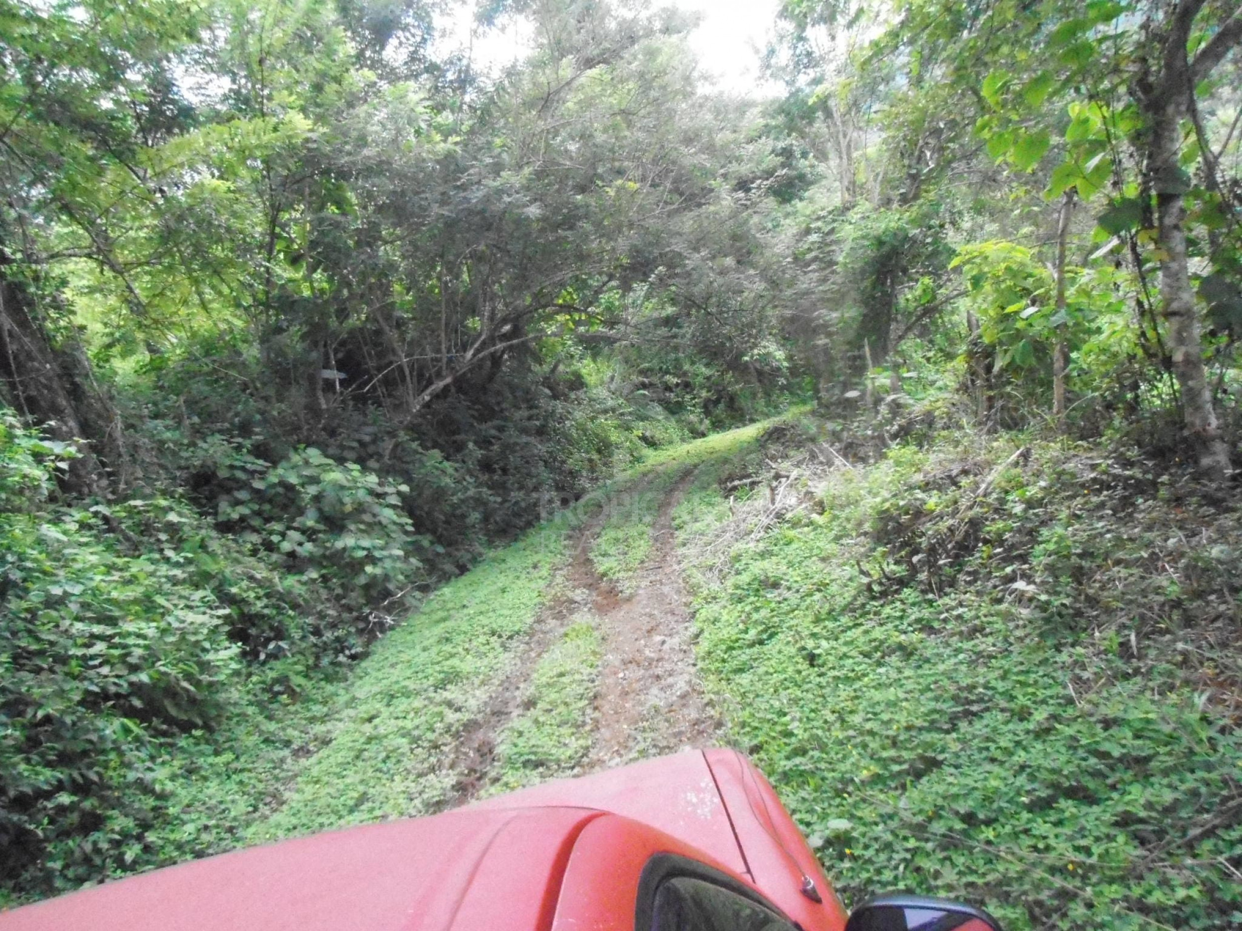 210-Hectare Farm for Sale in Tulín, Puriscal | 519 acres