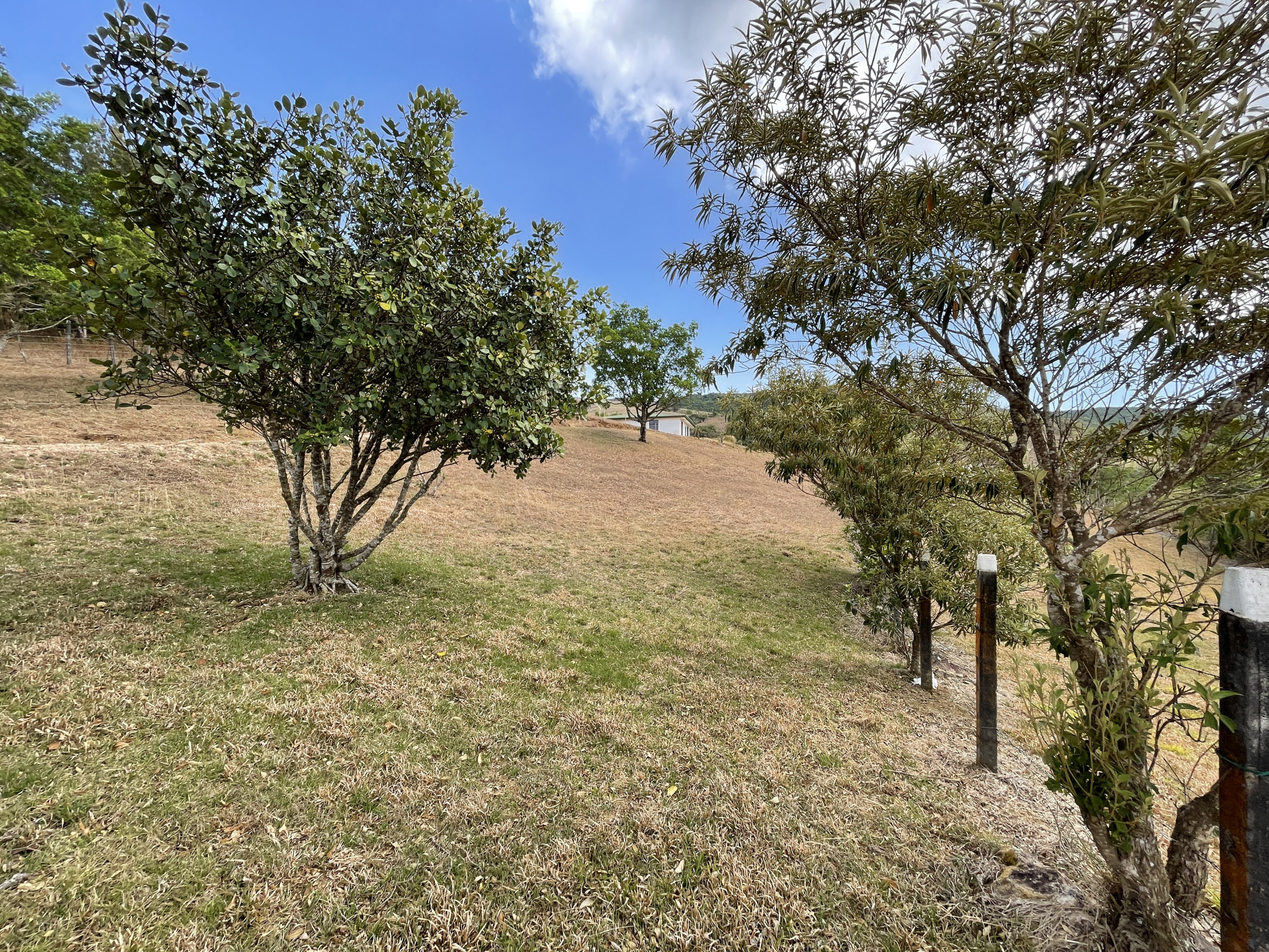 Last Chance: Scenic Lot in San Ramón for Only $69,000 – Urgent Sale!