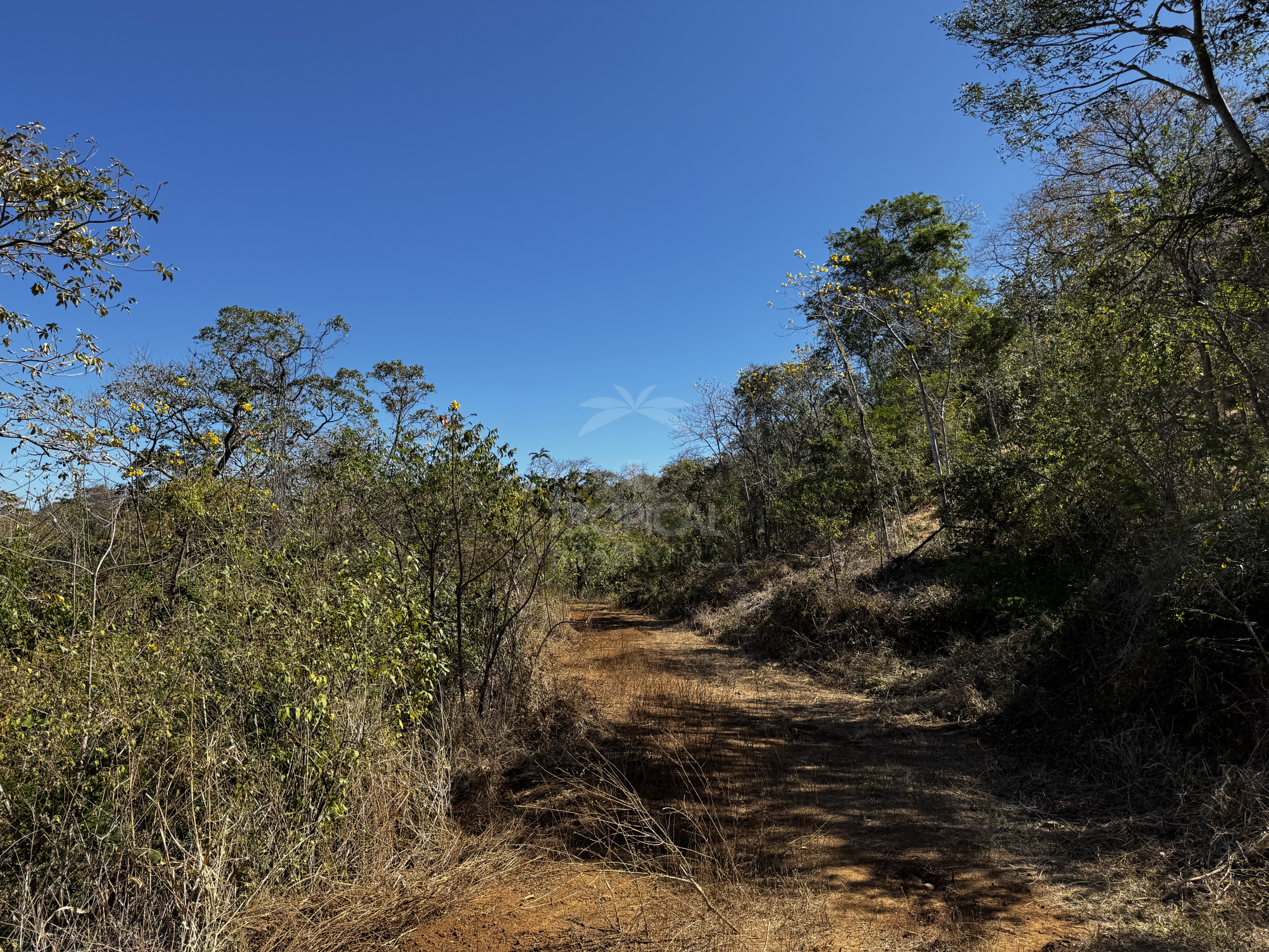 Beach land Parcels from 10,000 m² for $65,000 – Premium Property Near Coco and Rio Hotel, close to Papagayo, Guanacaste