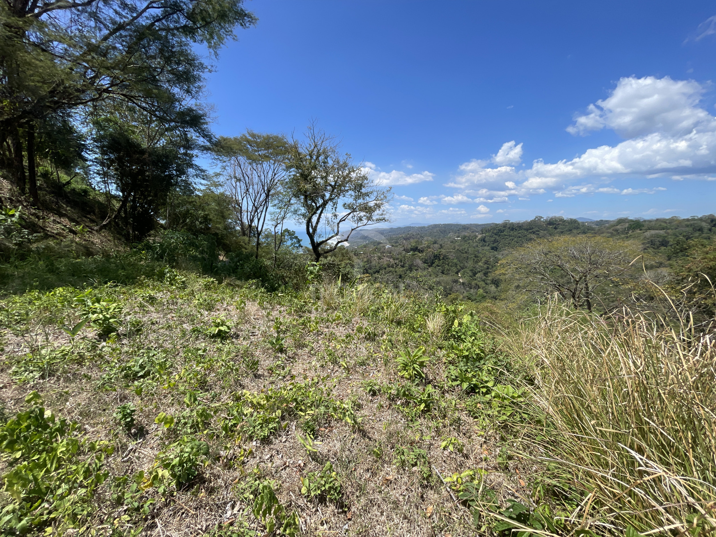 Ocean-View Lot in Malpais – Ready to Build with Electricity & Legal Well! SOLD