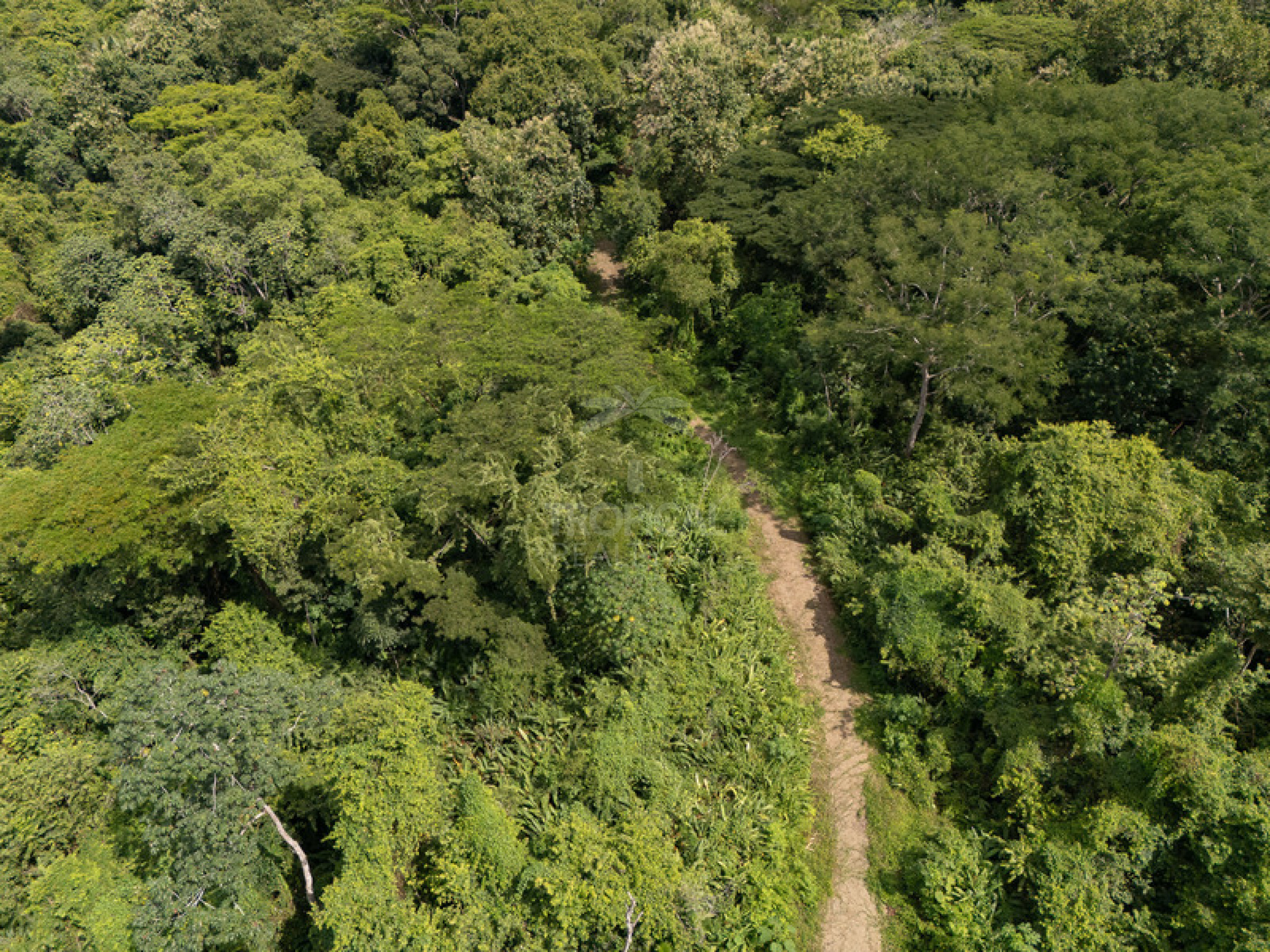 Premium Ocean View Development Estate in Cabuya – 58.6 Hectares with Infrastructure and Exceptional Potential