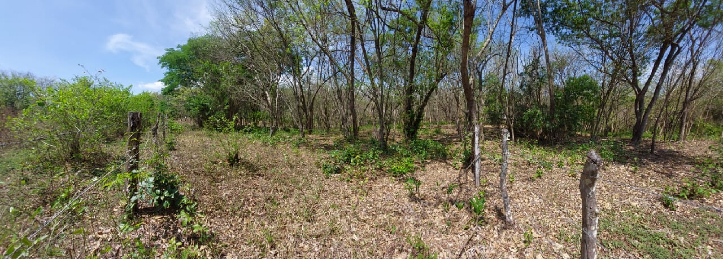 Beach Land for Sale in Garza, Nosara, Guanacaste