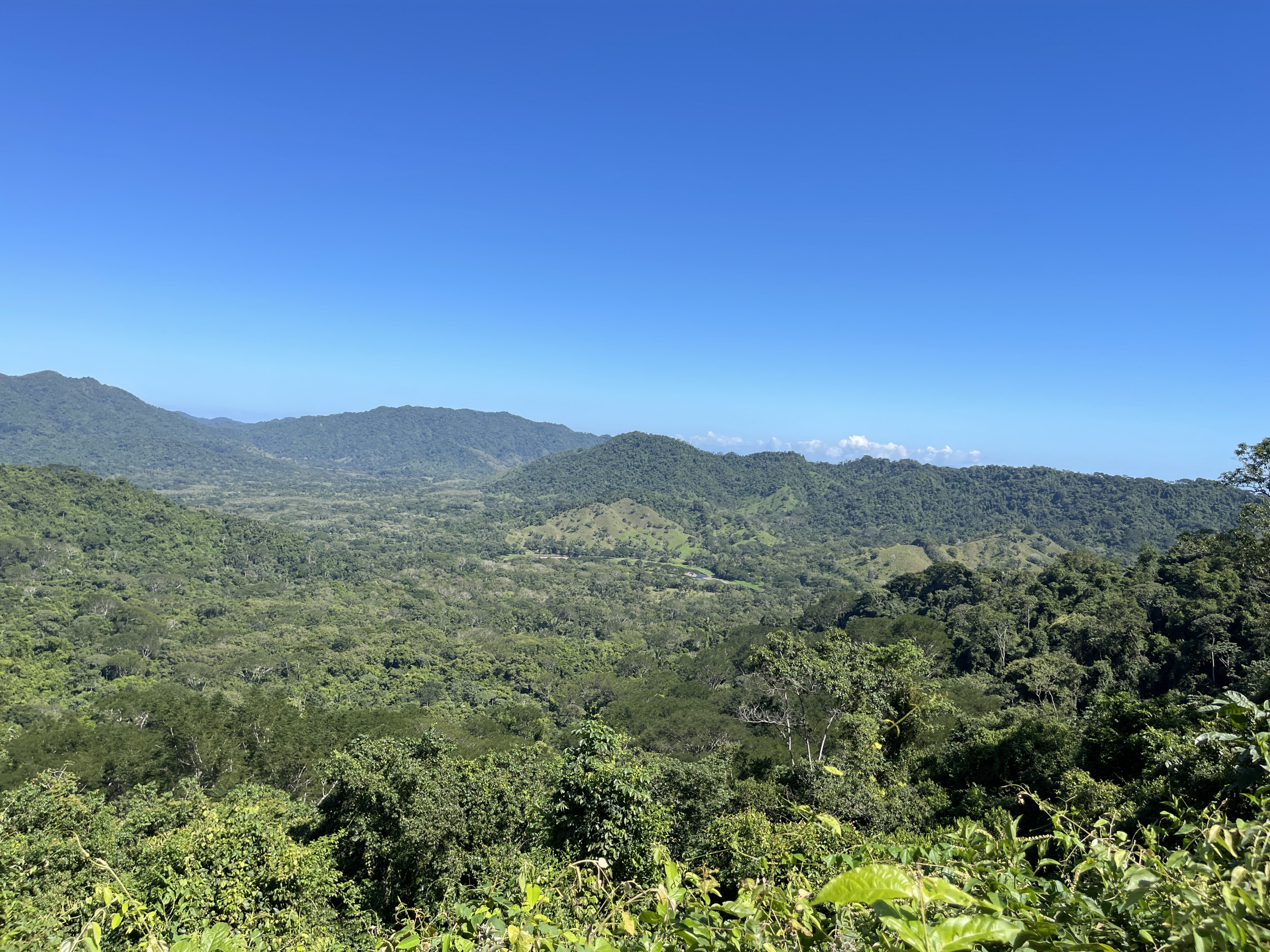 Spectacular Farm for Sale in Cobano, Puntarenas: Ocean Views to Santa Teresa, Lush Nature, and Included Waterfall