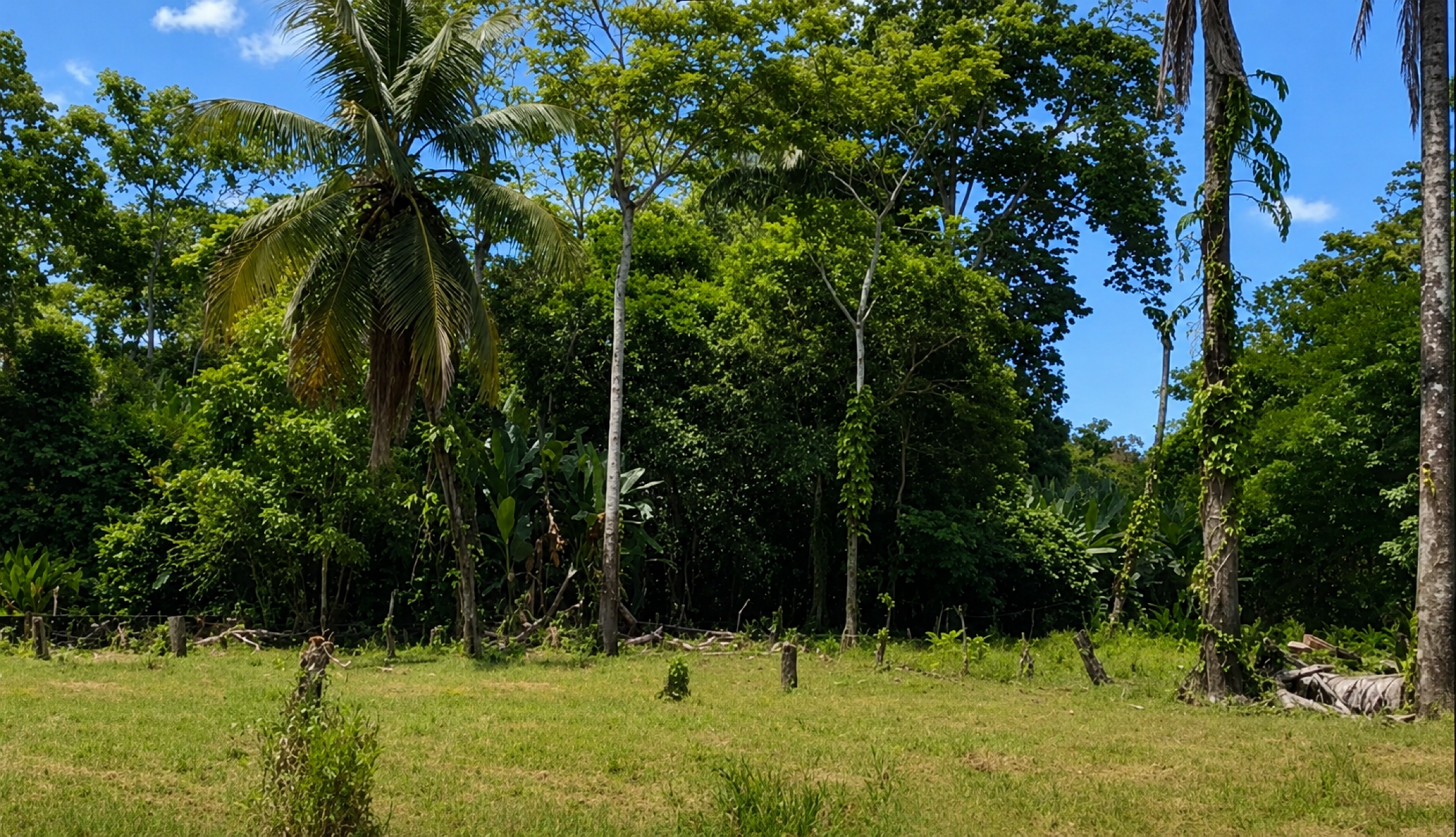 Large Development Property for Sale in Limón | 29.8 Hectares in Costa Rica’s Caribbean Region