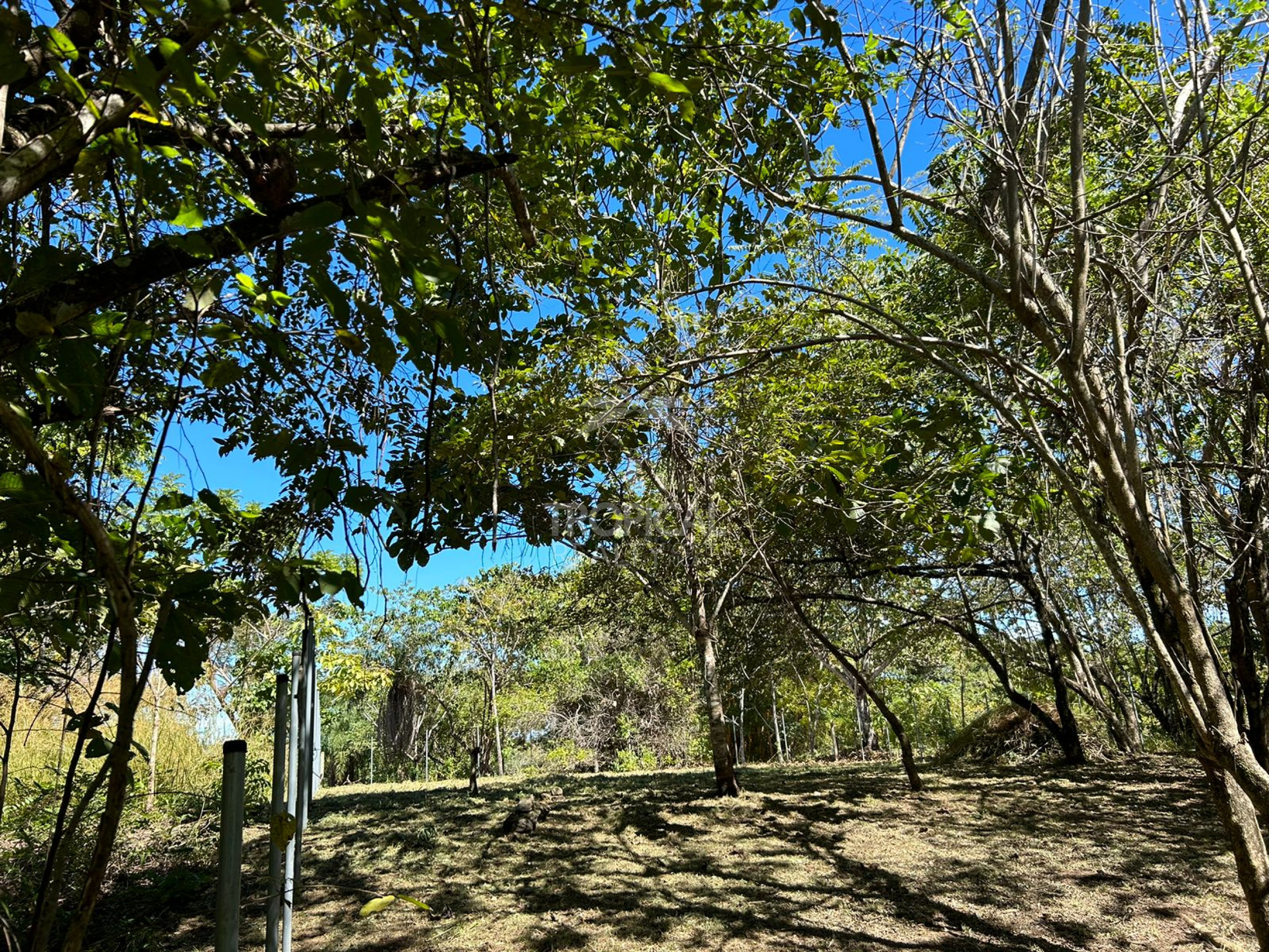 1000m² Lot for Sale in Las Delicias de Cobano: Your Coastal Oasis in Costa Rica.