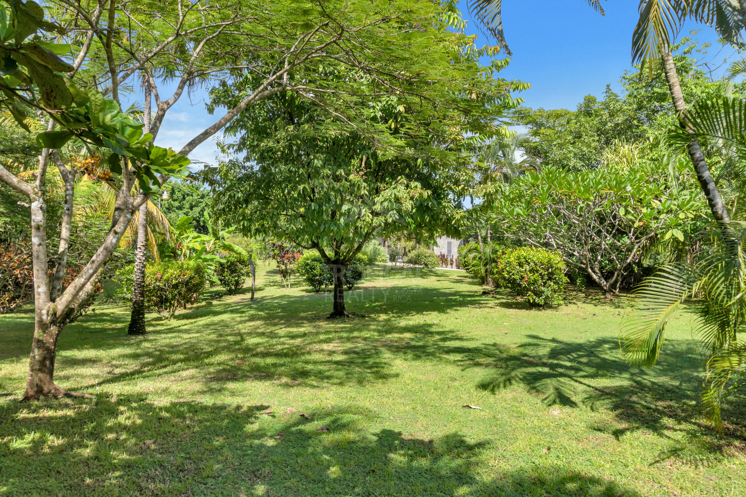 Modern Jungle Villa in Las Delicias – Santa Teresa