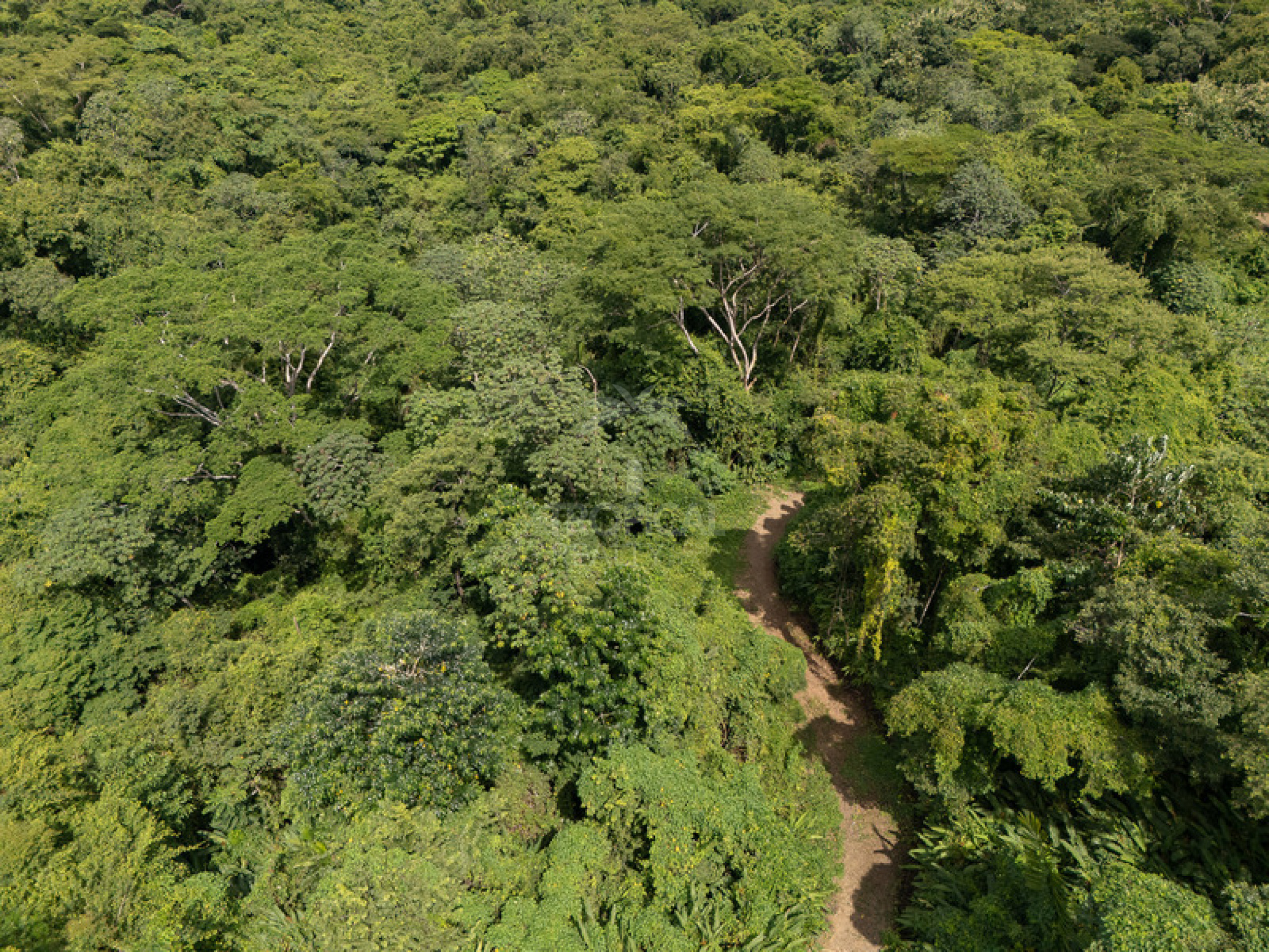 Premium Ocean View Development Estate in Cabuya – 58.6 Hectares with Infrastructure and Exceptional Potential