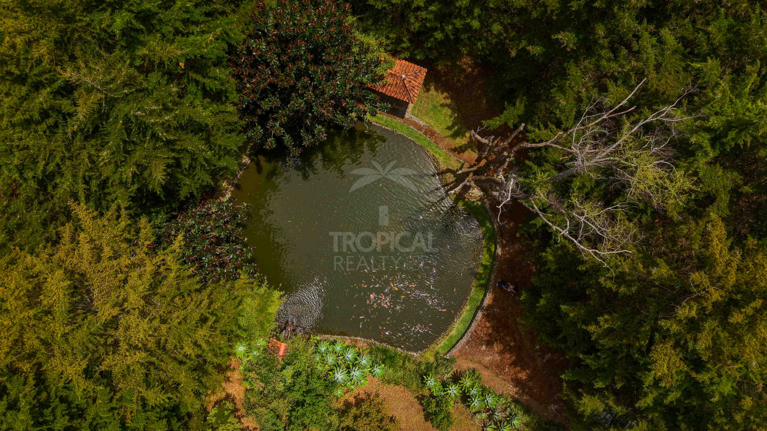 Las Catalinas de Pico Blanco – Costa Rica's Iconic Mountain Estate