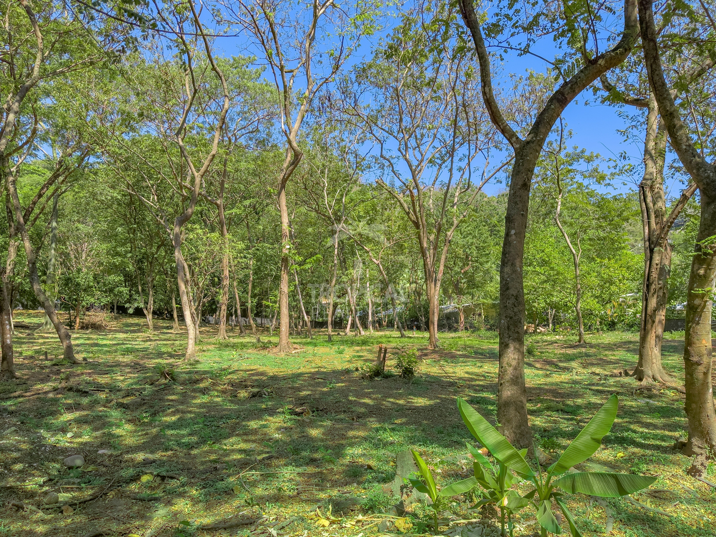 Santa Teresa Investment Opportunity: Lots for Commercial and Residencial Use