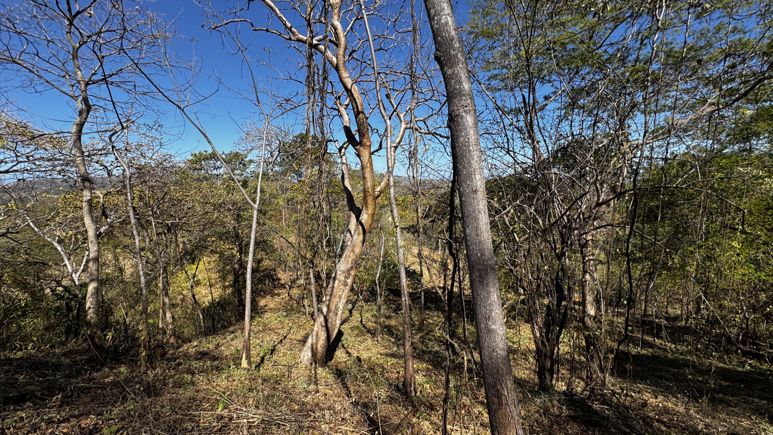 Beach land Parcels from 10,000 m² for $65,000 – Premium Property Near Coco and Rio Hotel, close to Papagayo, Guanacaste