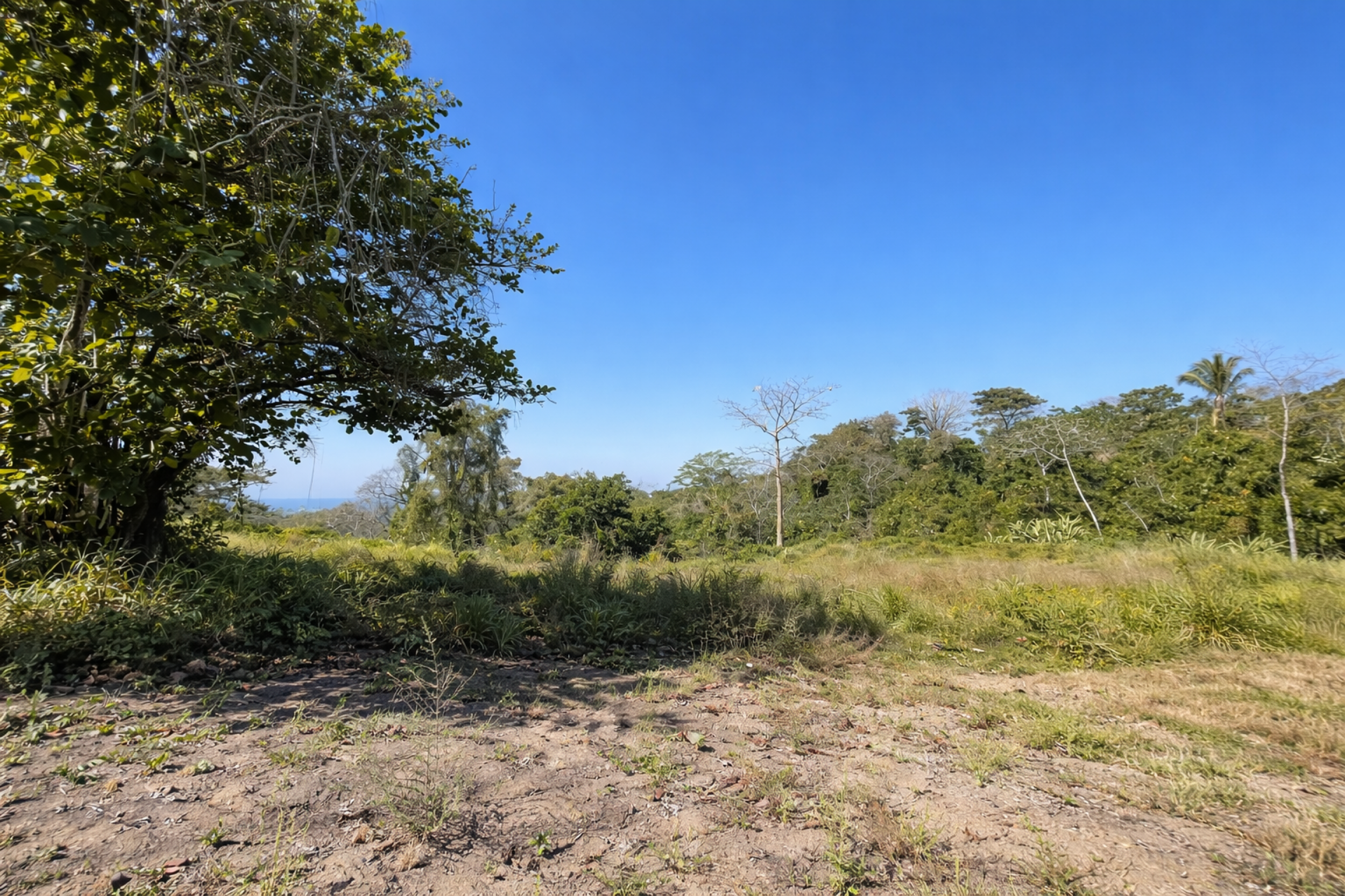 Ocean View Lot in San Isidro above Malpaís