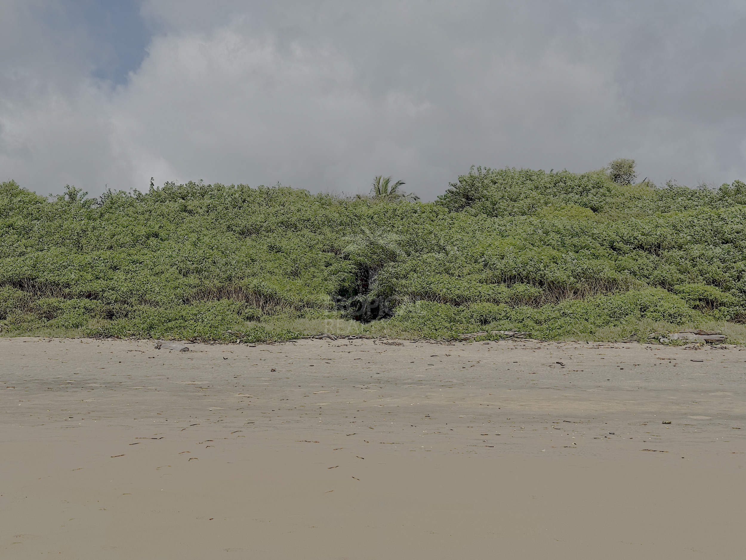 Oceanfront House for Rent in Playa Grande, With Direct Beach Access