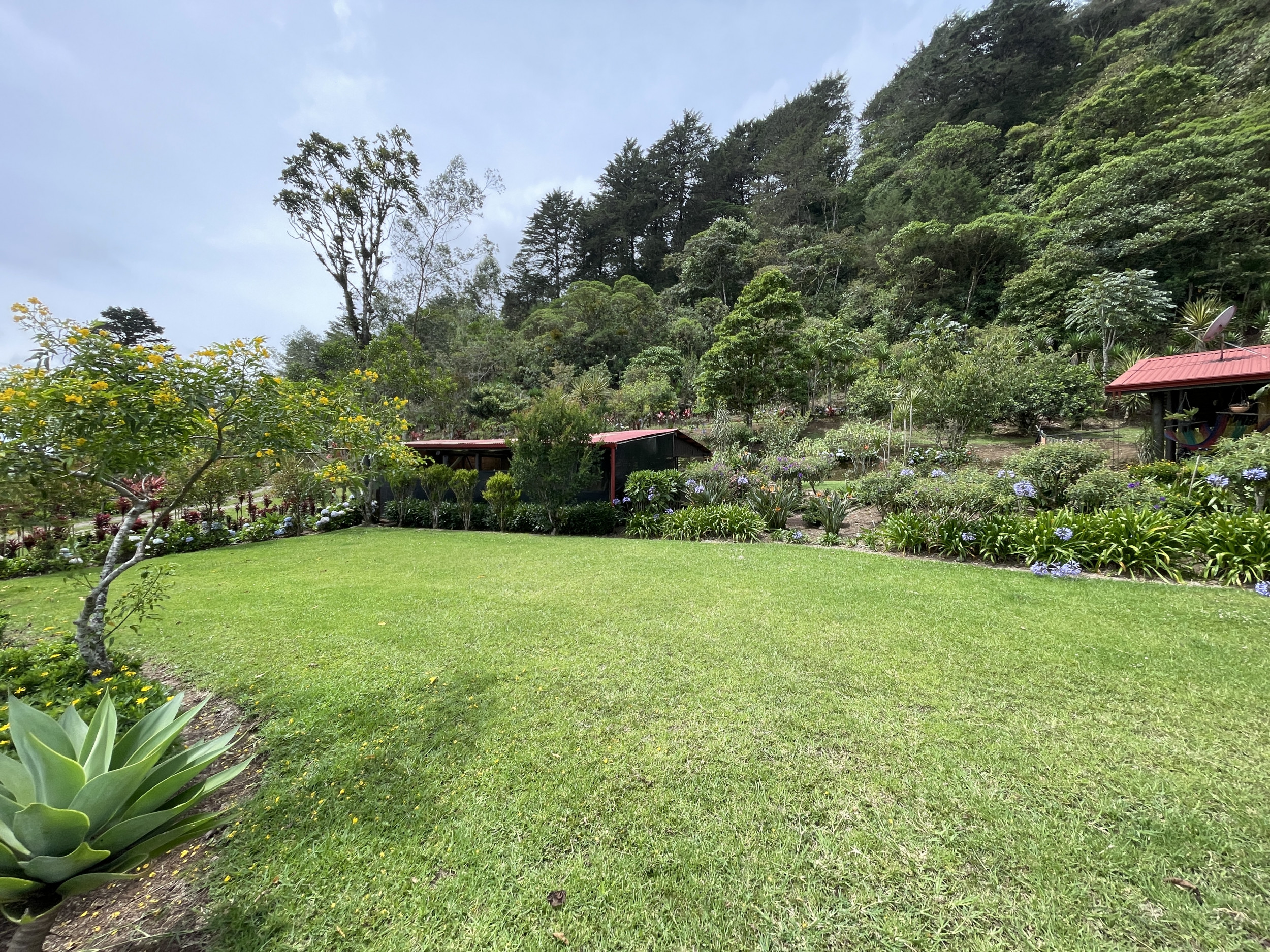 Charming Coffee Retreat Home with Stunning Views and Gourmet Coffee Plantations