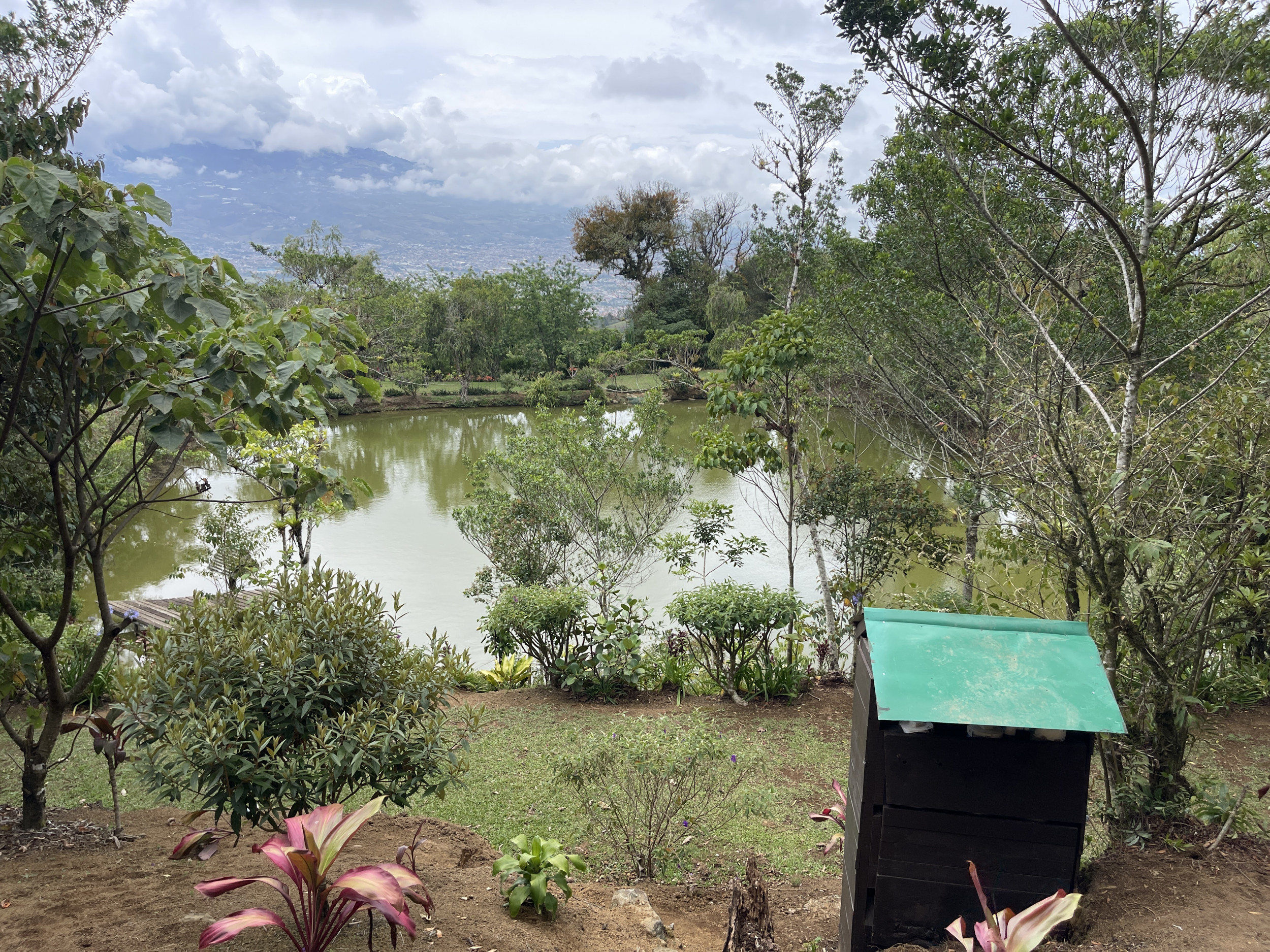 Charming Coffee Retreat Home with Stunning Views and Gourmet Coffee Plantations
