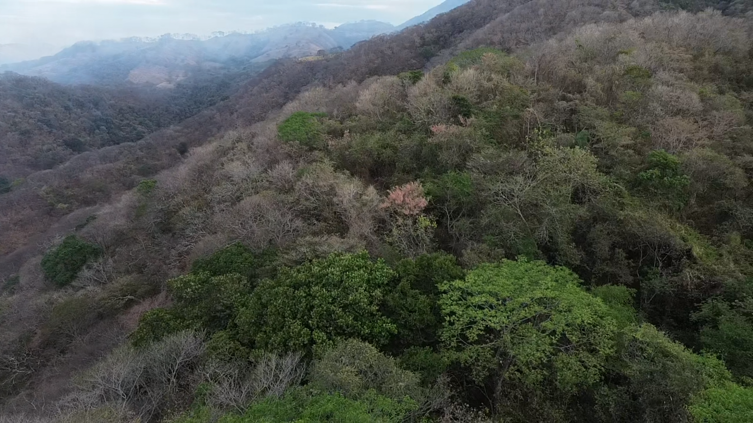153-Hectare Ranch for Sale in Santa Cruz, Guanacaste – Natural Springs, Forest & Development Potential | $1,000,000
