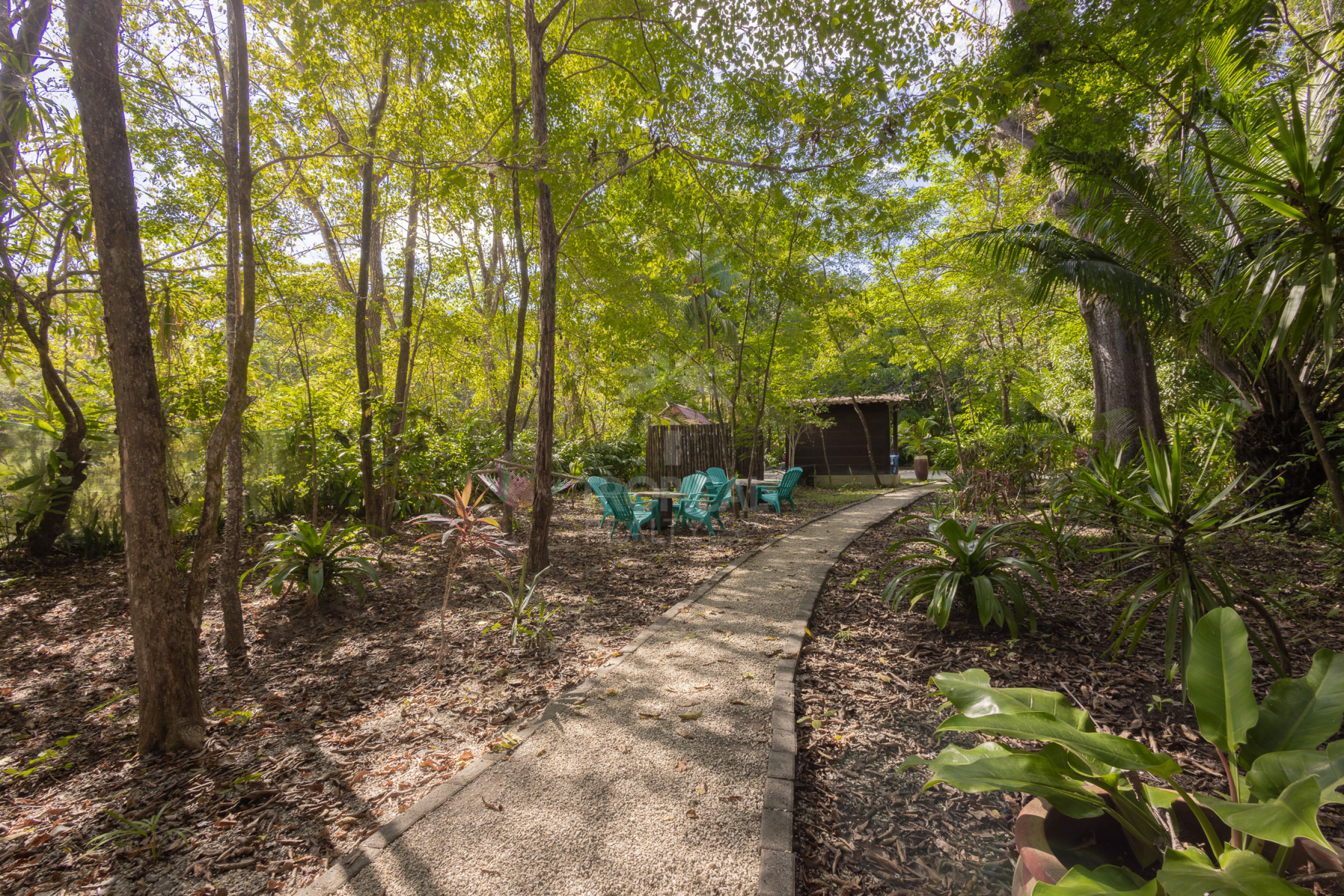 Cabañas en Venta en Montezuma | Inversión Turnkey cerca de Los Cedros