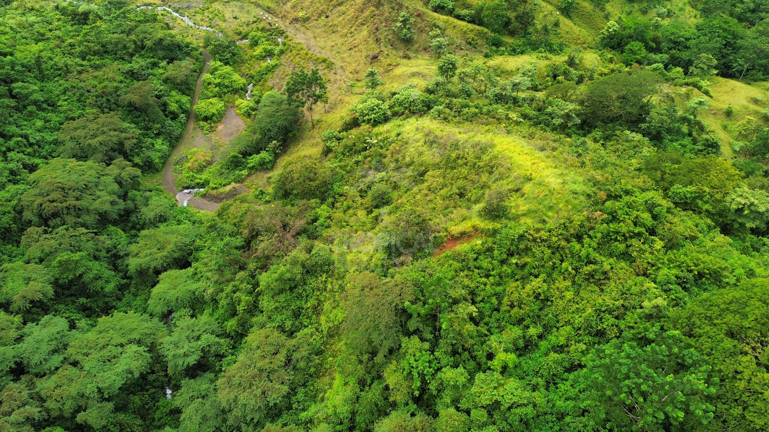 210-Hectare Farm for Sale in Tulín, Puriscal | 519 acres