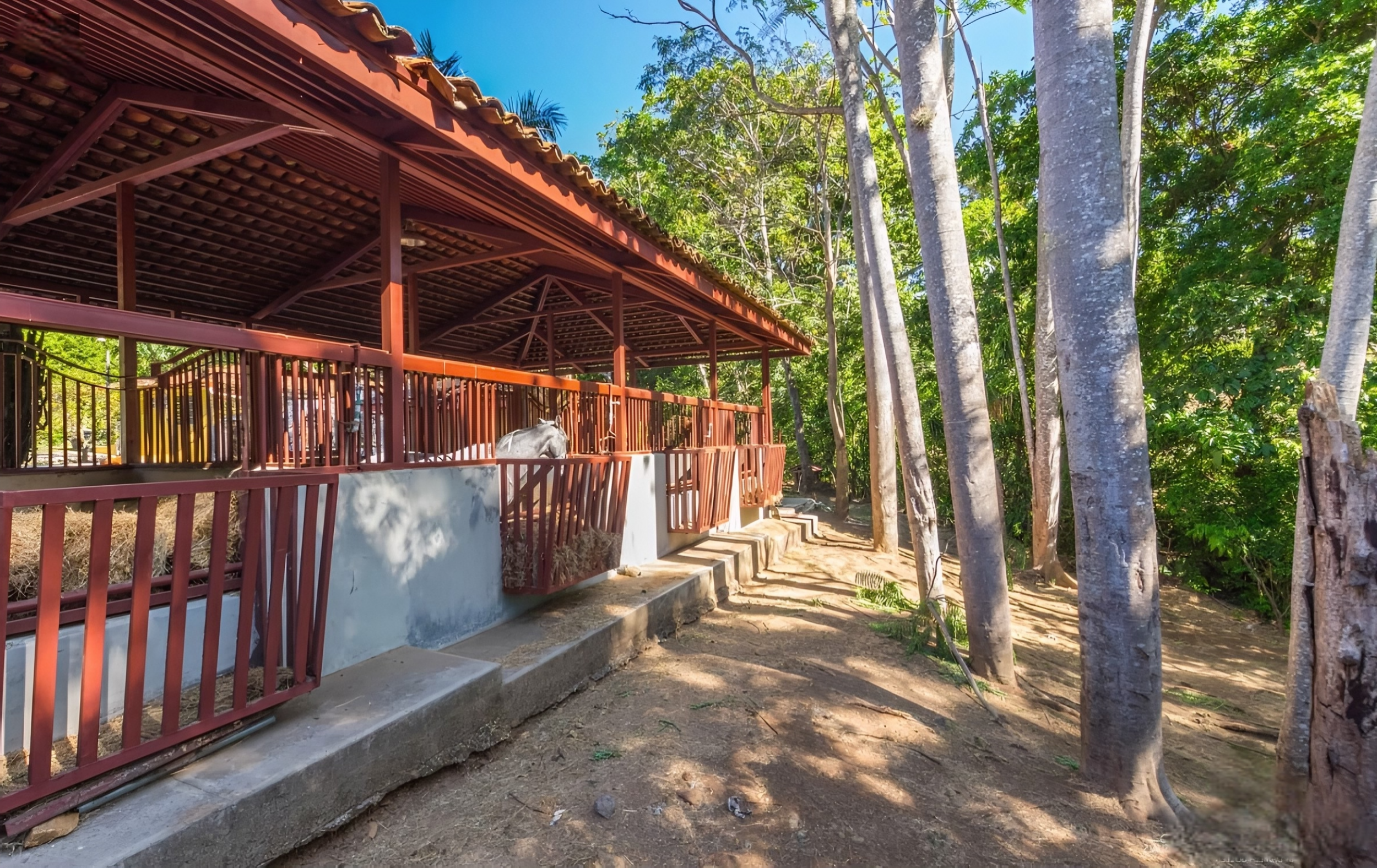 Luxury Estate, a unique home for horse lovers, located in La Garita de Alajuela