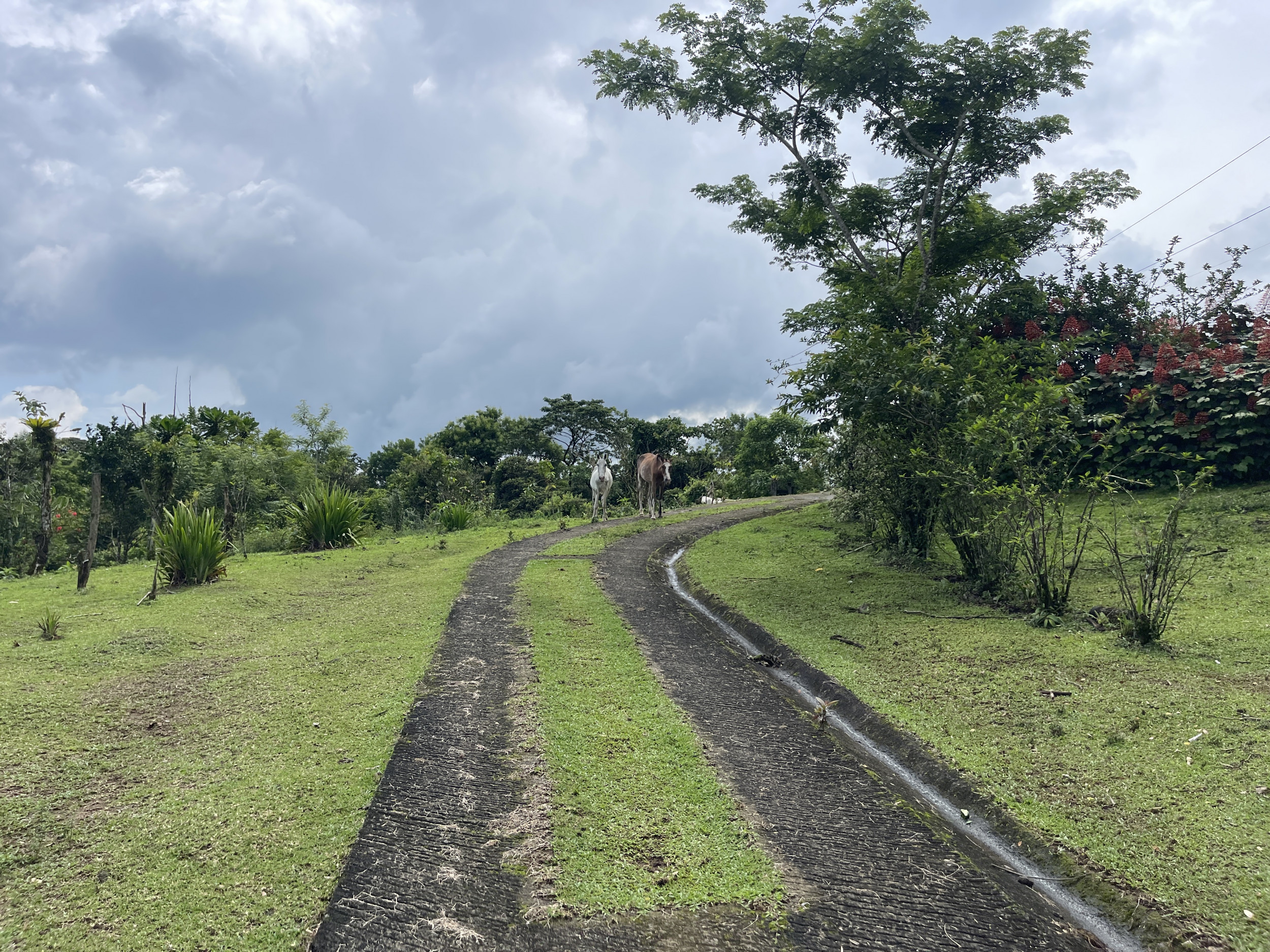 65-Acre Lakeview Property in Nuevo Arenal, Ideal for Family Residential Development
