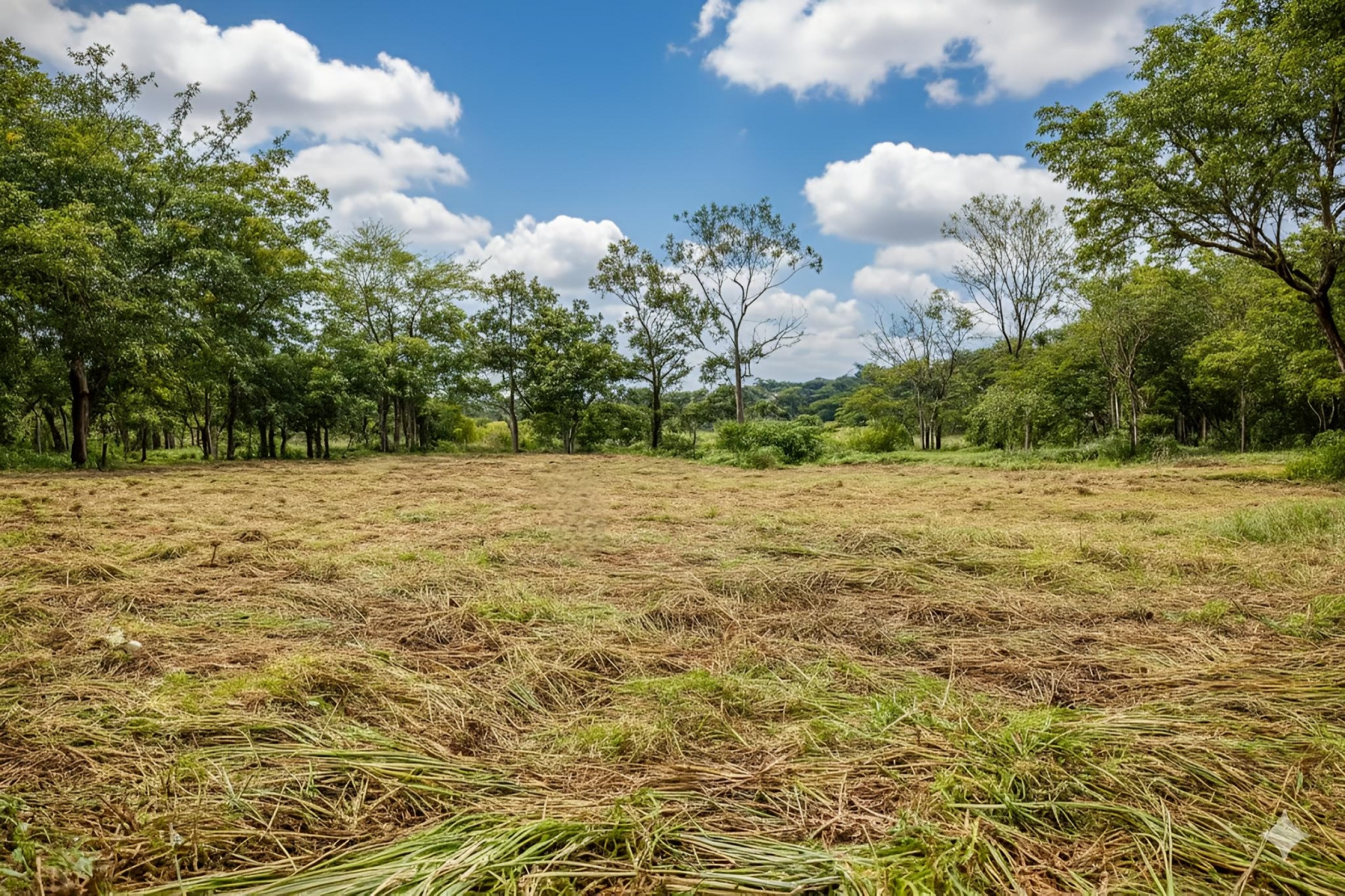 Pre-sale Lots with Private Access to Llanos de Cortés Waterfall SOLD