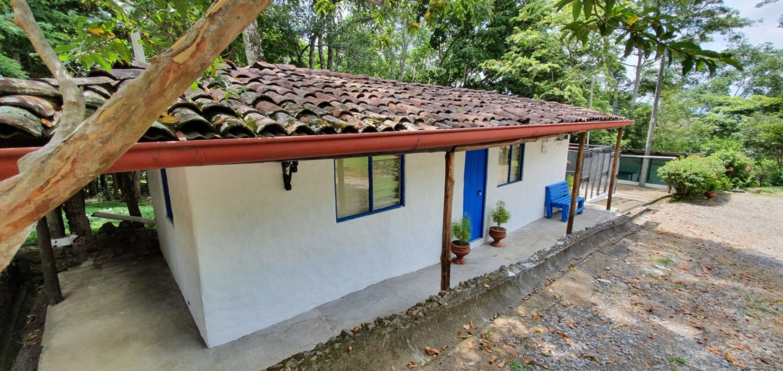 Immerse Yourself in Nature's Paradise: Private Estate in El Rodeo, Ciudad Colon