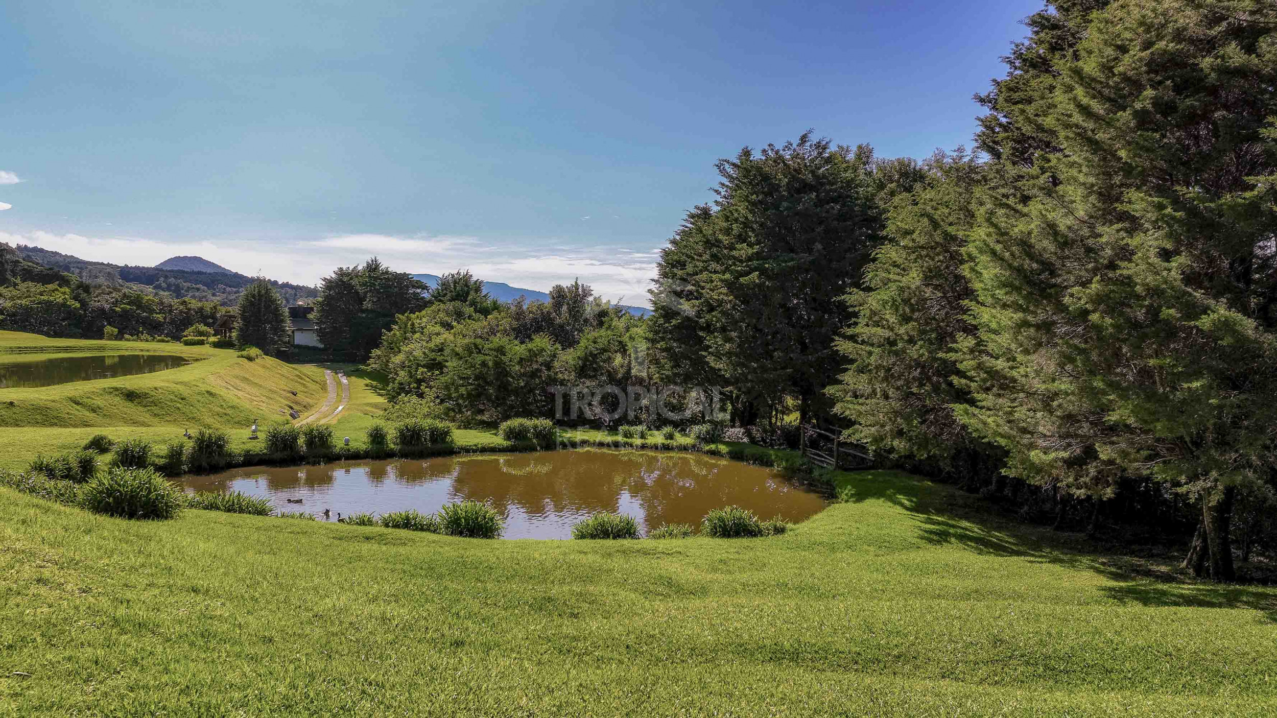 Alpine-Inspired Mountain Retreat in Monte Lagos, Heredia – A Nature Lover’s Paradise