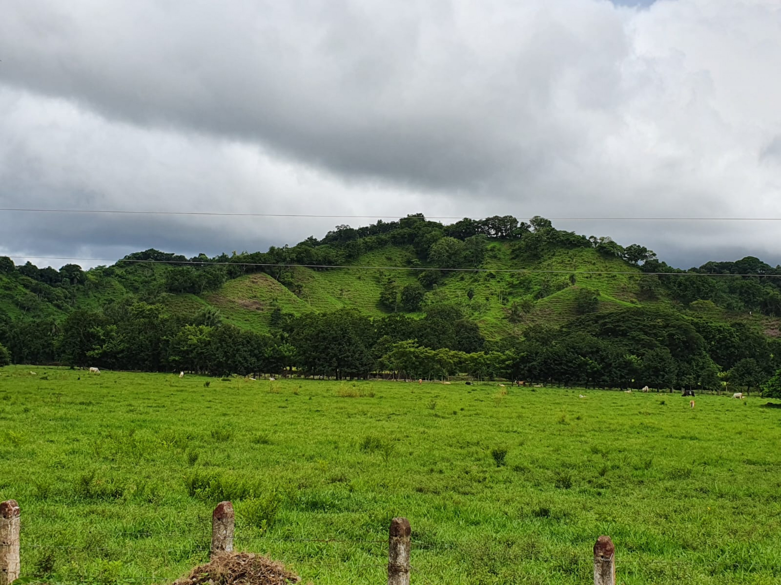864 Acres in the Gulf of Nicoya Blue Zone – A Sanctuary of Nature and Tranquility
