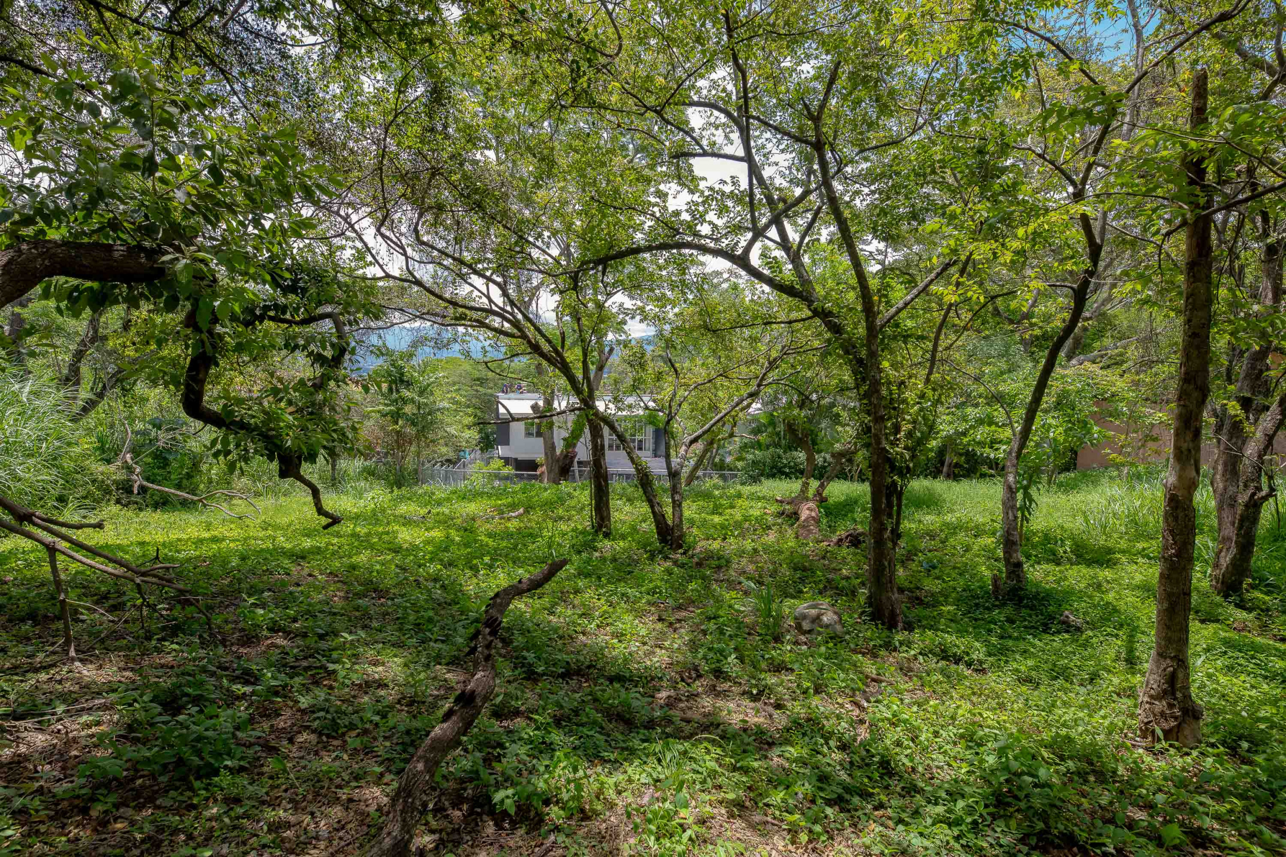 Residential Private Lush Lot in Rio Oro , Santa Ana