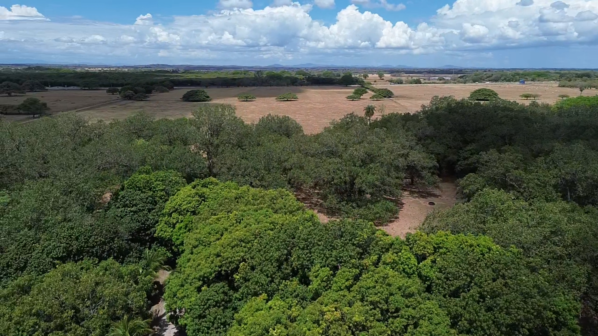 Exclusive Estate for Sale in Liberia, Guanacaste – Natural Oasis with Creek & Tourism Potential